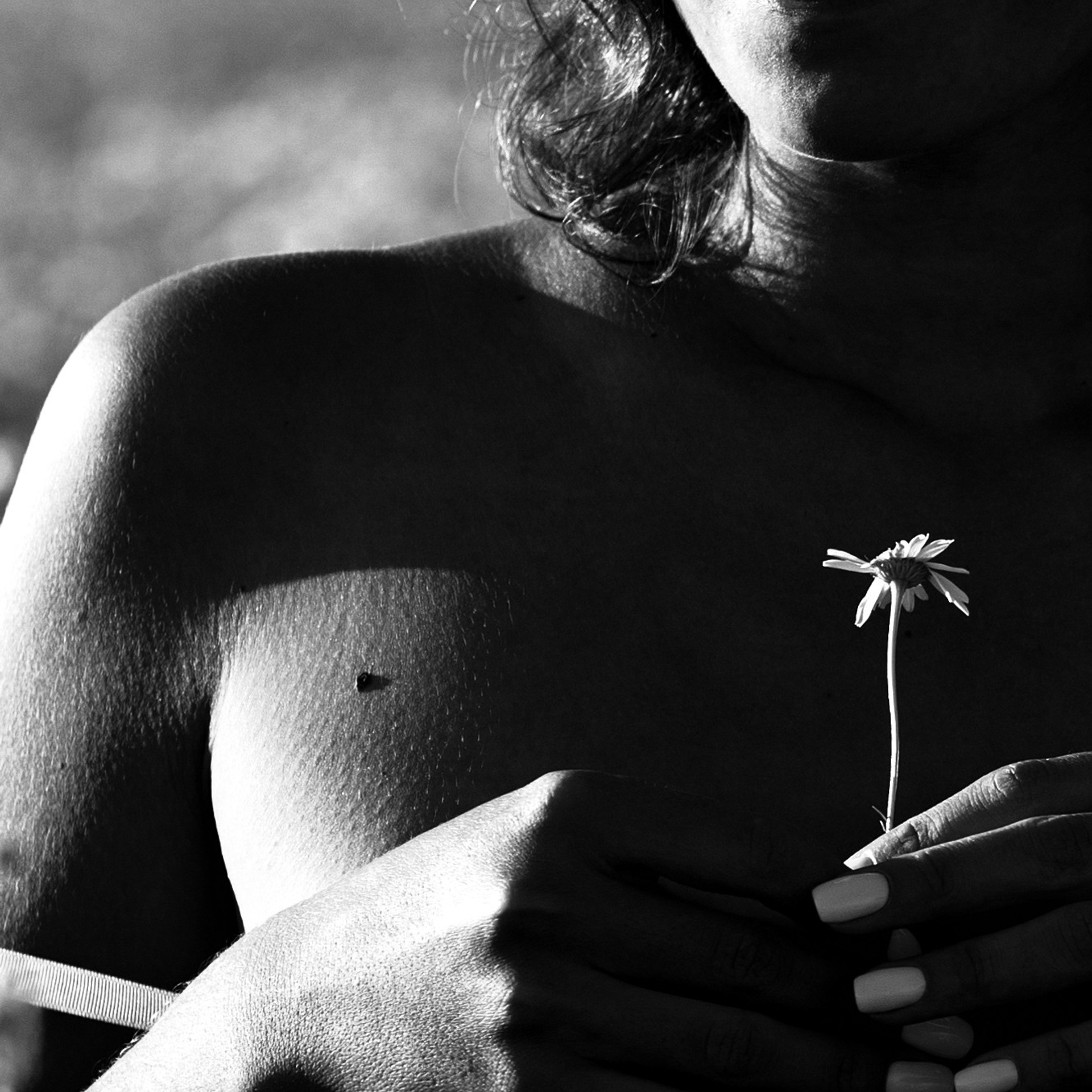 Фотосессия в цветочном поле