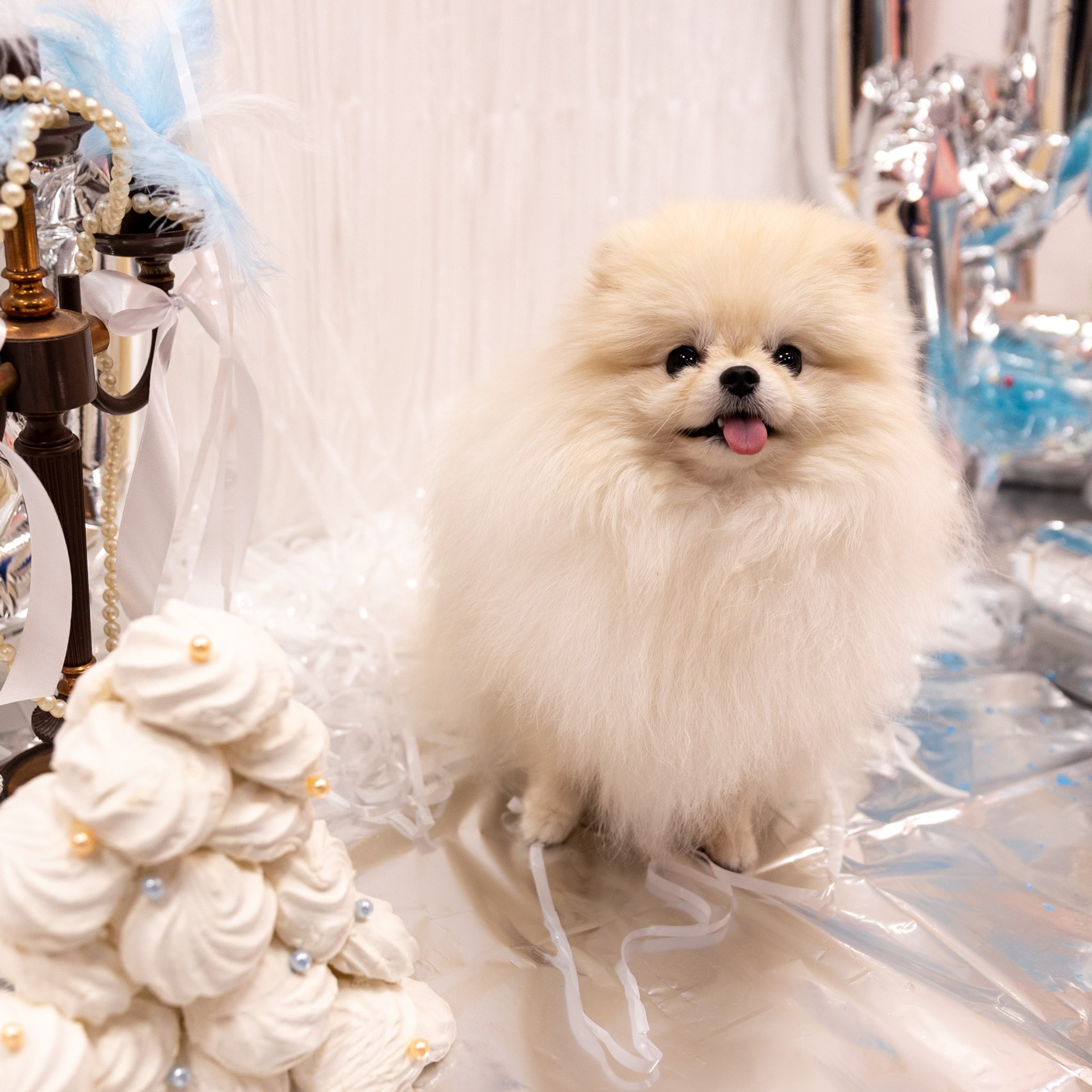 Фотодень «Великий Гэтсби» в груминг салоне