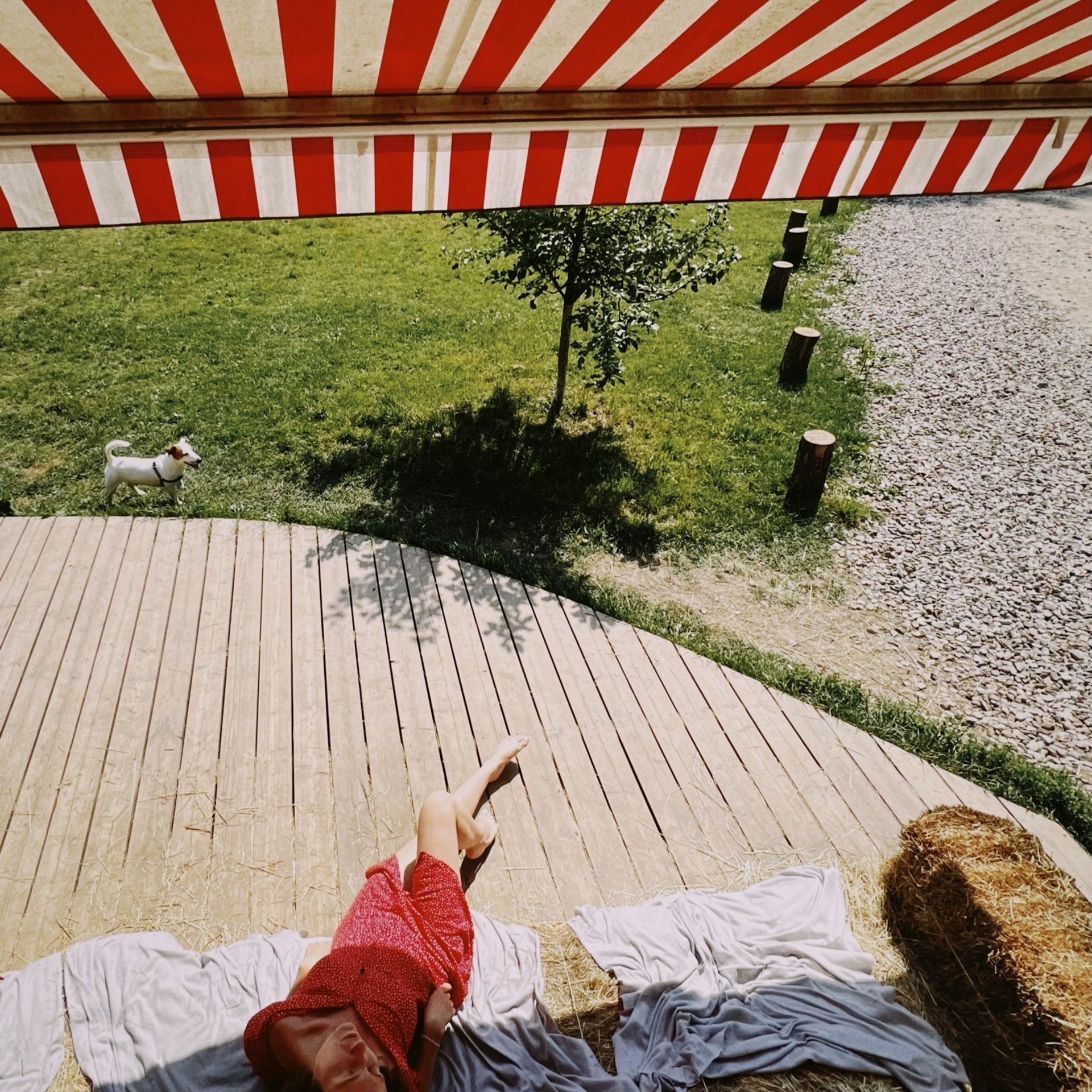 Лучшие фото, снятые на iPhone