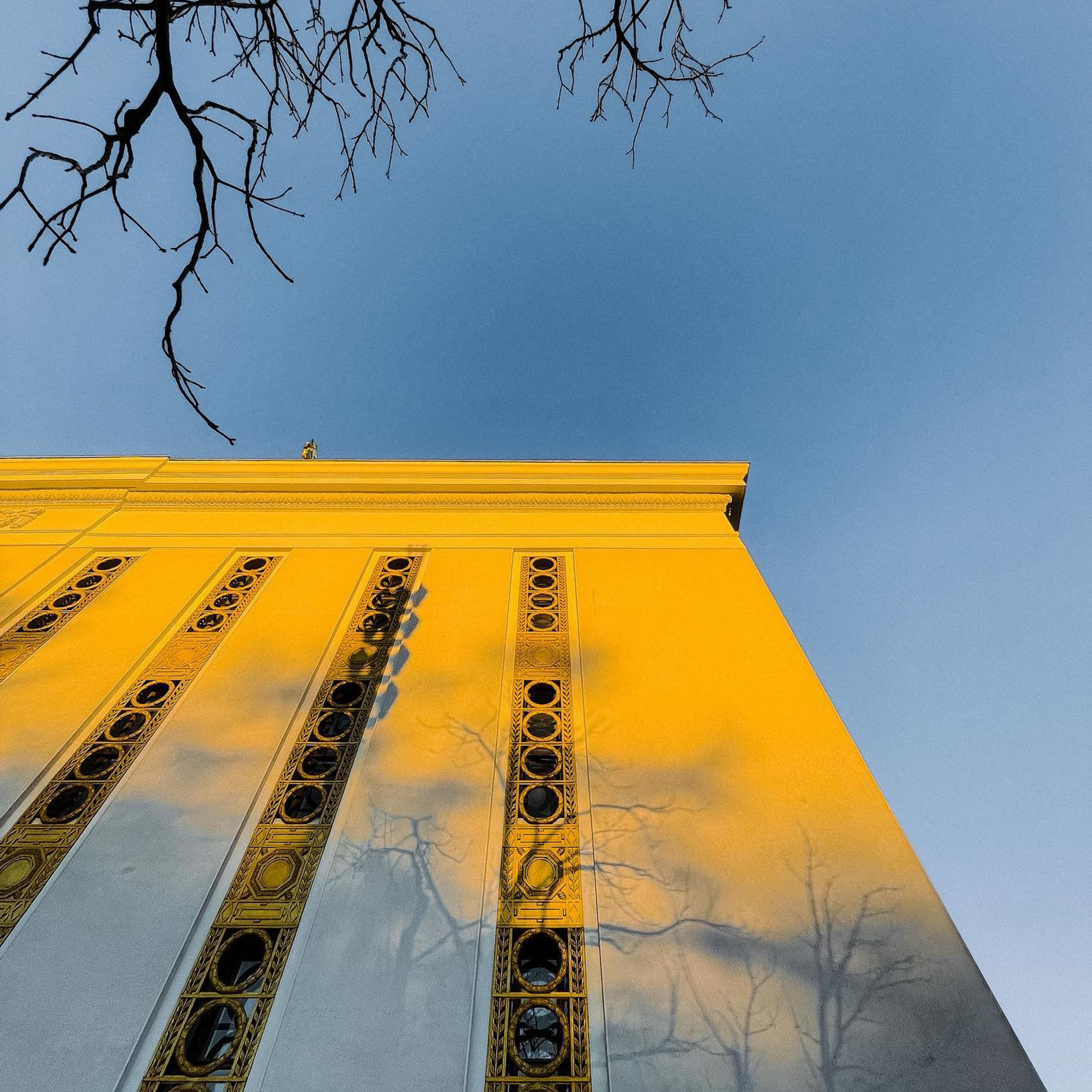 Лучшие фото, снятые на iPhone