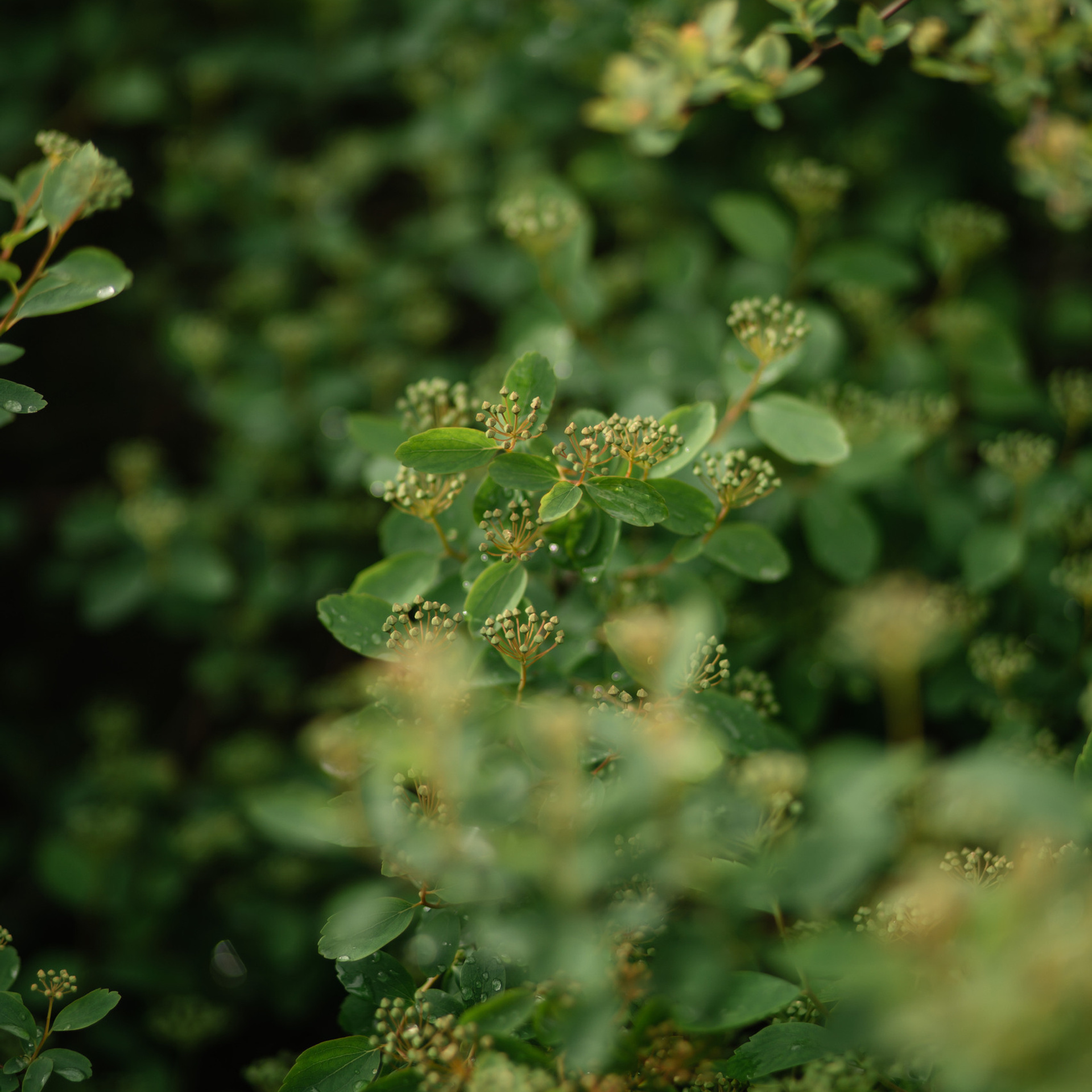 Отзывы. Семейный фотограф и видеограф Ростов-на-Дону