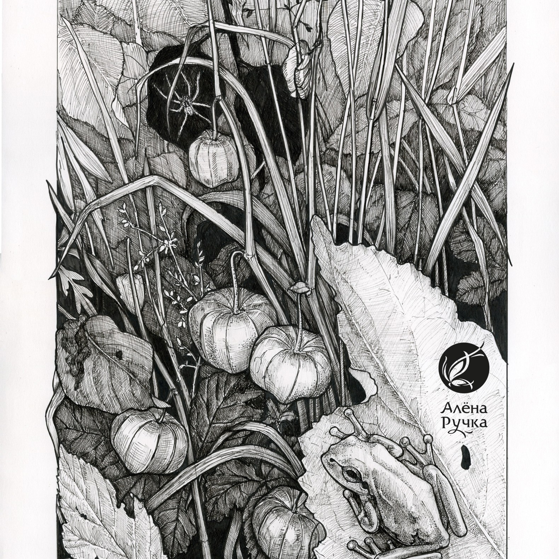 Графика. Ручка Алена — ботанический художник, дизайнер, фотограф