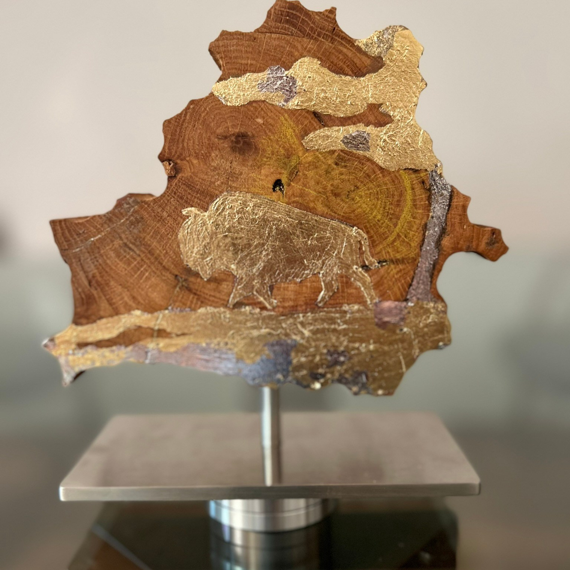 Зубр. Беларусь