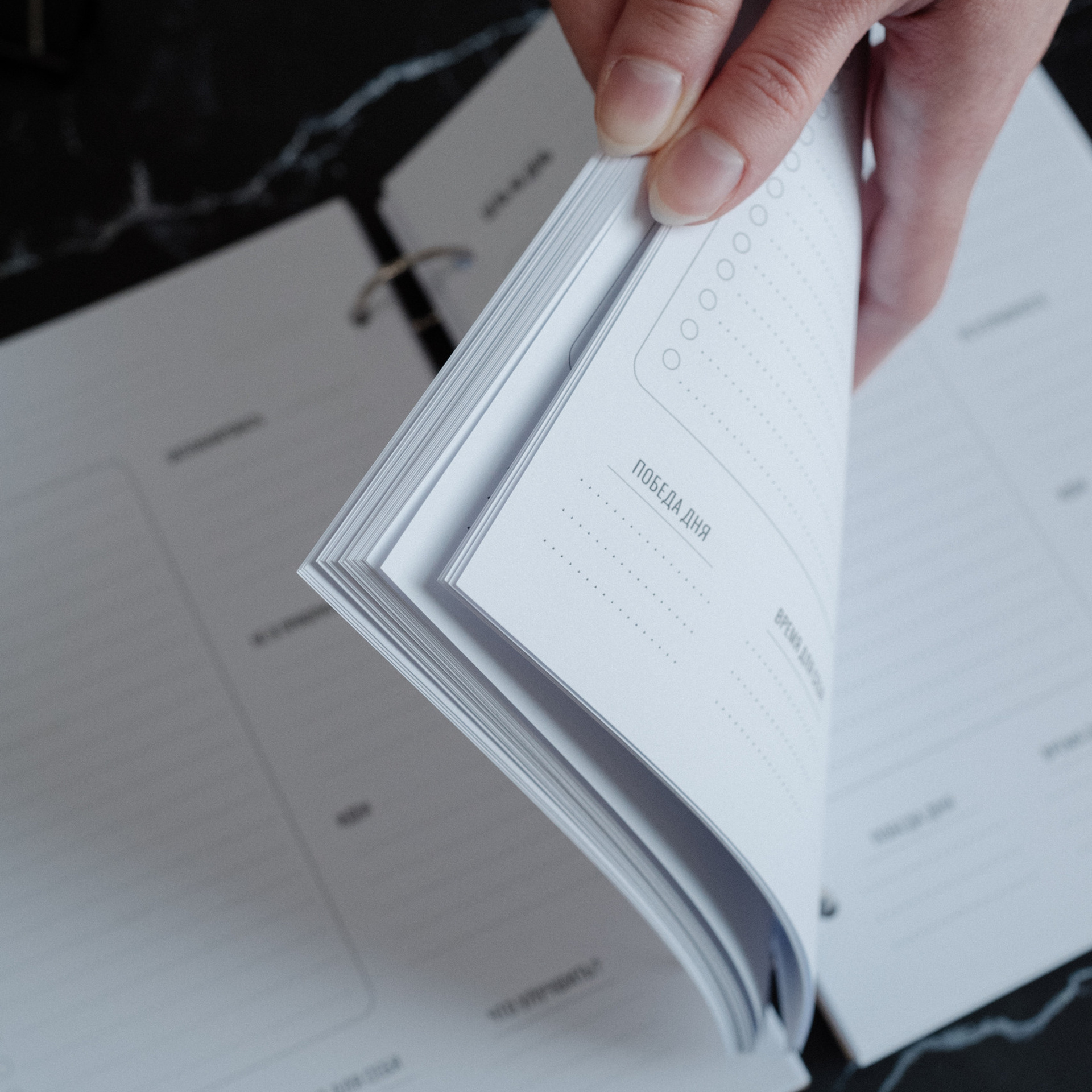 Отзывы. Семейный фотограф Маруся Толкачева в Челябинске