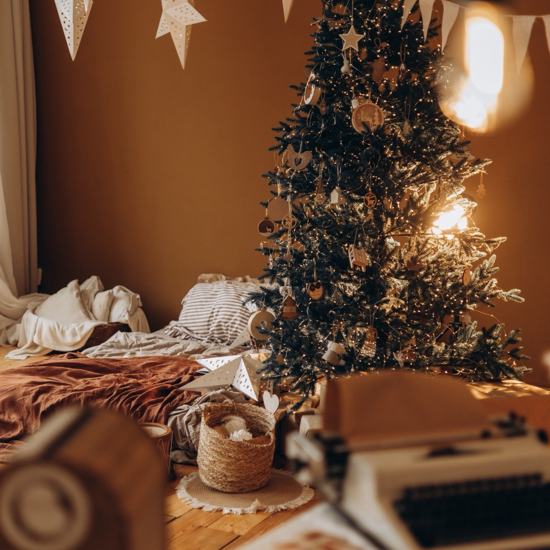 Новогодние локации 2026. Свадебный и семейный фотограф в Туле и области Маша Костина