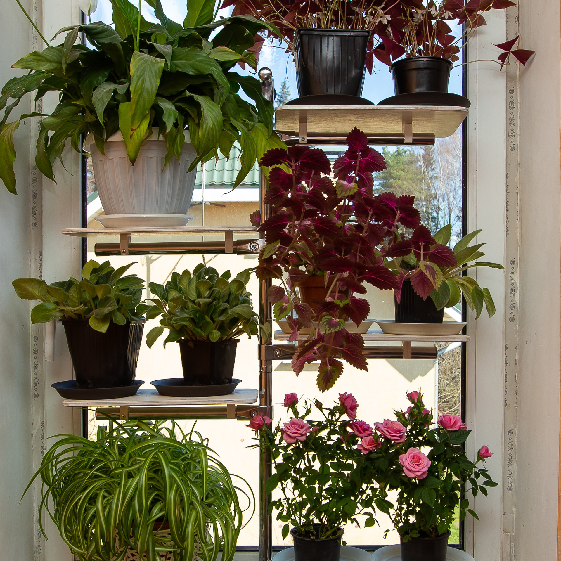 Отзывы. Фотостудия во Всеволожске. Подходит для всех творческих проектов