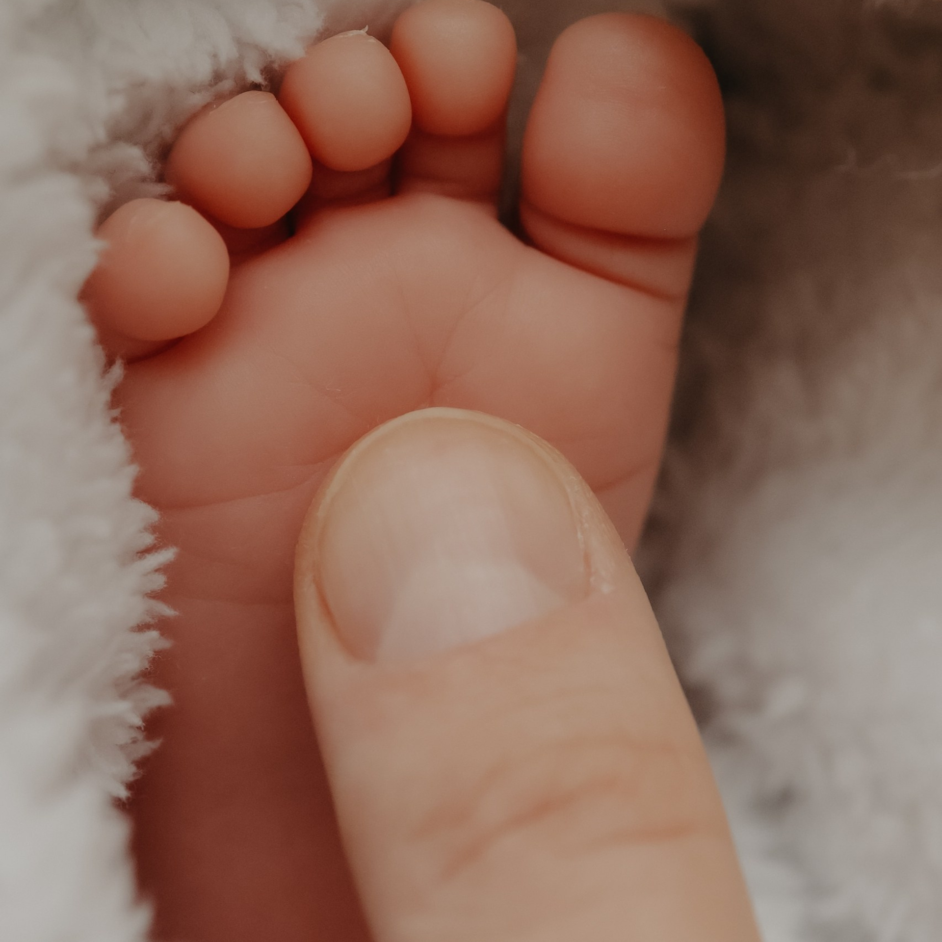 Домашний ньборн в Нижнем Новгороде. Фотограф и видеограф Елена Лисина