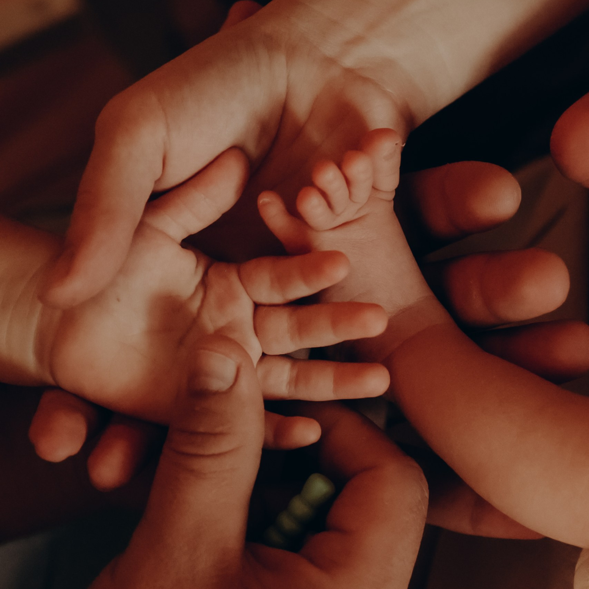 Отзывы. Фотограф и видеограф Елена Лисина