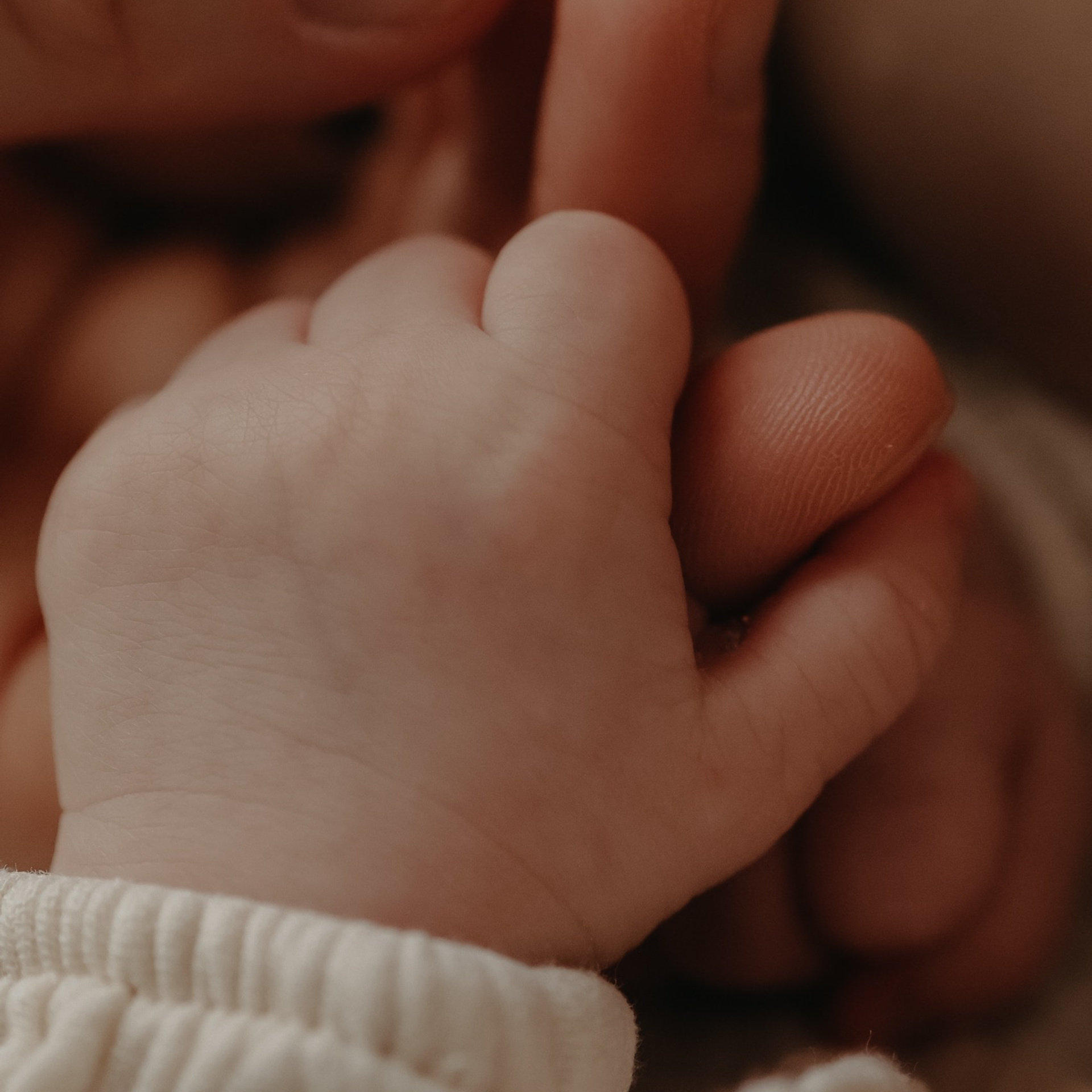 Домашний ньборн в Нижнем Новгороде. Фотограф и видеограф Елена Лисина