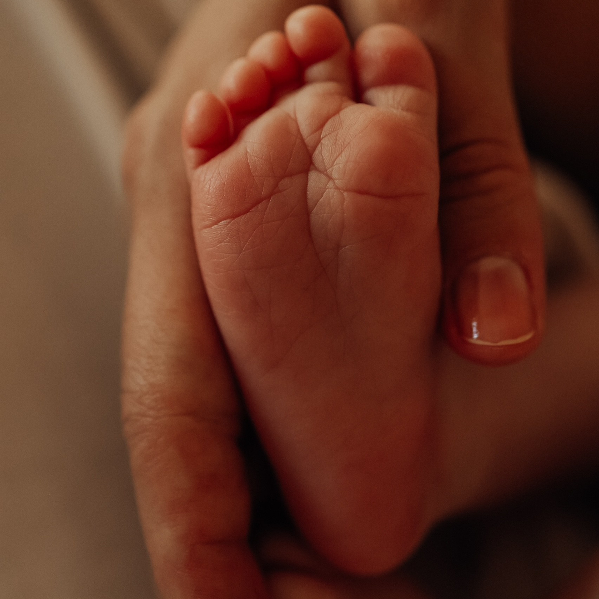 Домашний ньборн в Нижнем Новгороде. Фотограф и видеограф Елена Лисина