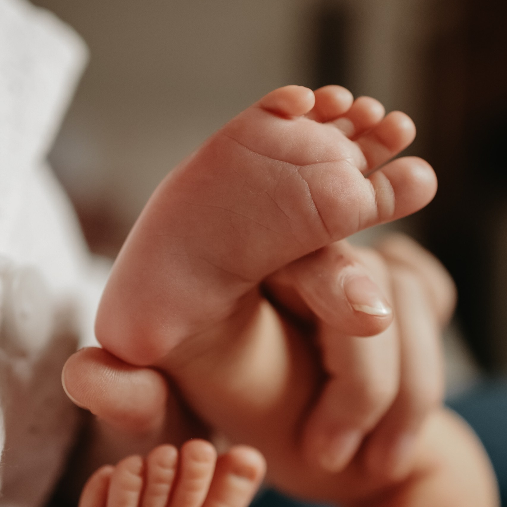 Домашний ньборн в Нижнем Новгороде. Фотограф и видеограф Елена Лисина