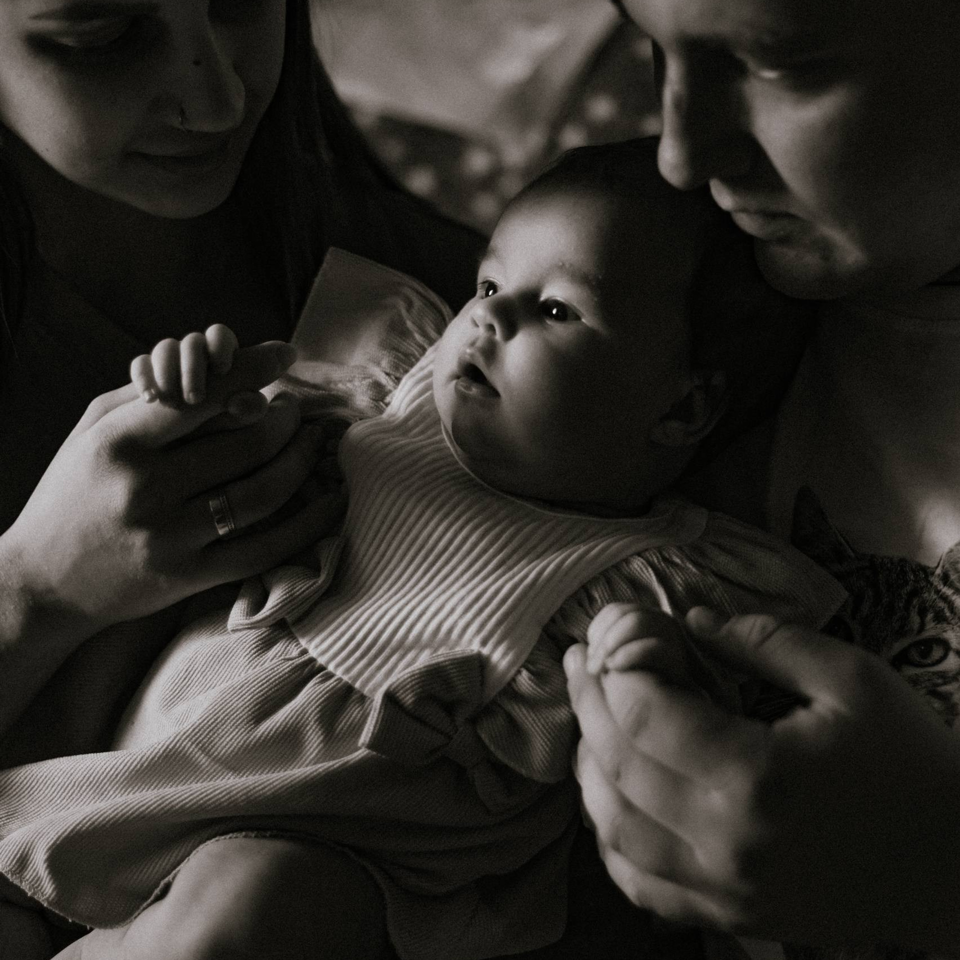 Семья Мелиховых