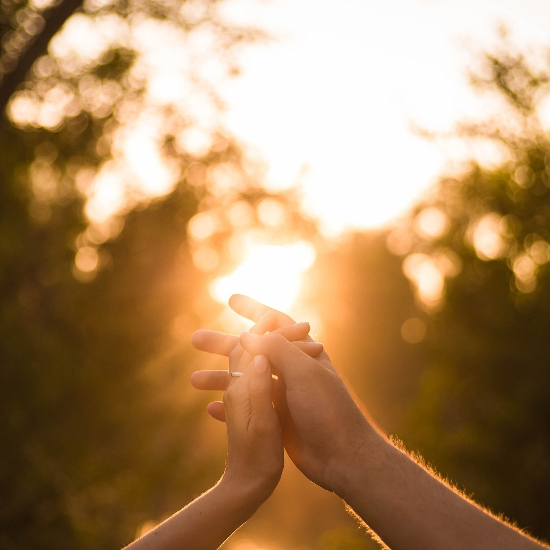 Дмитрий и Арина