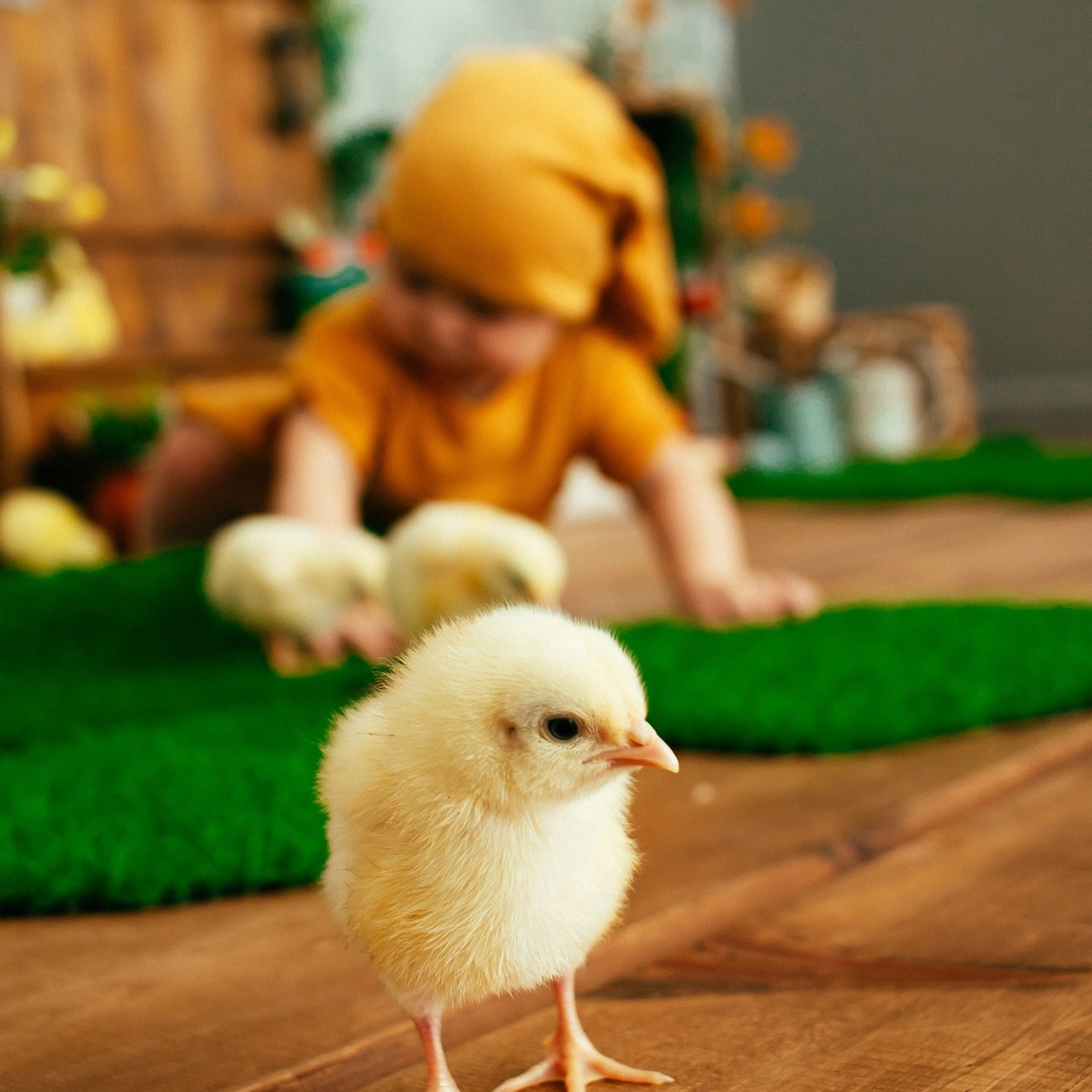 Пасхальная фотосъемка