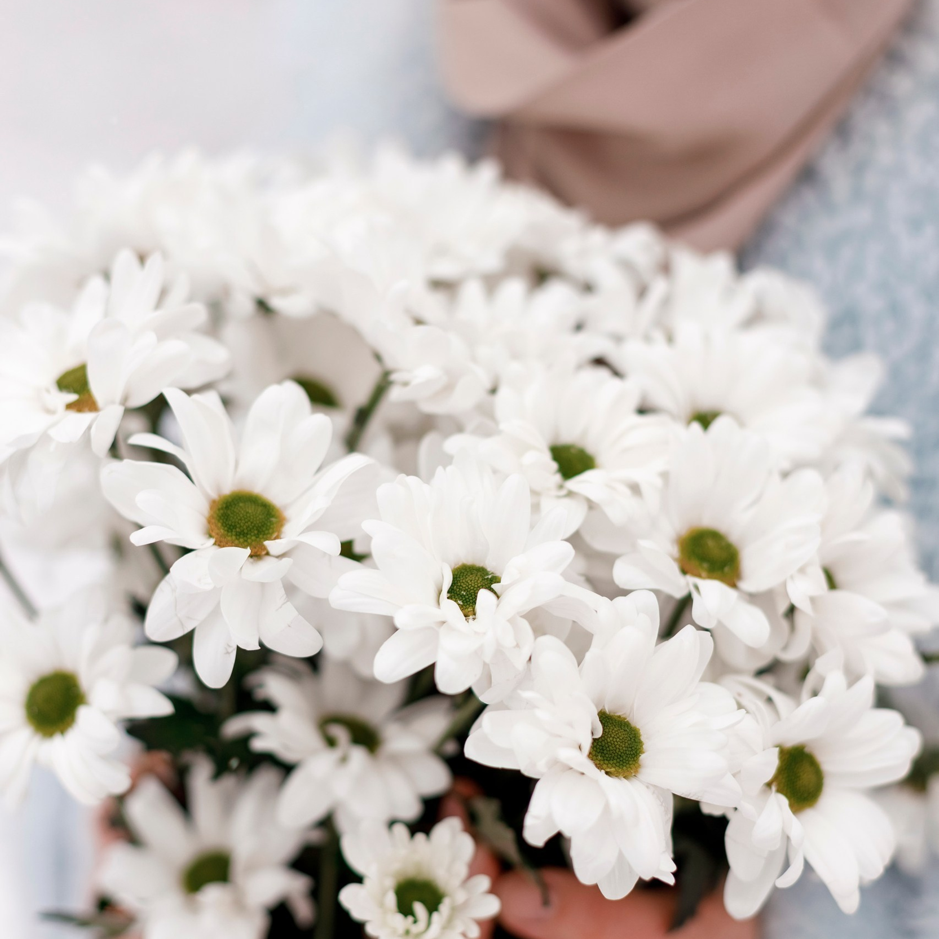 Отзывы. Валентина Удалая — семейный и портретный фотограф в Брянске