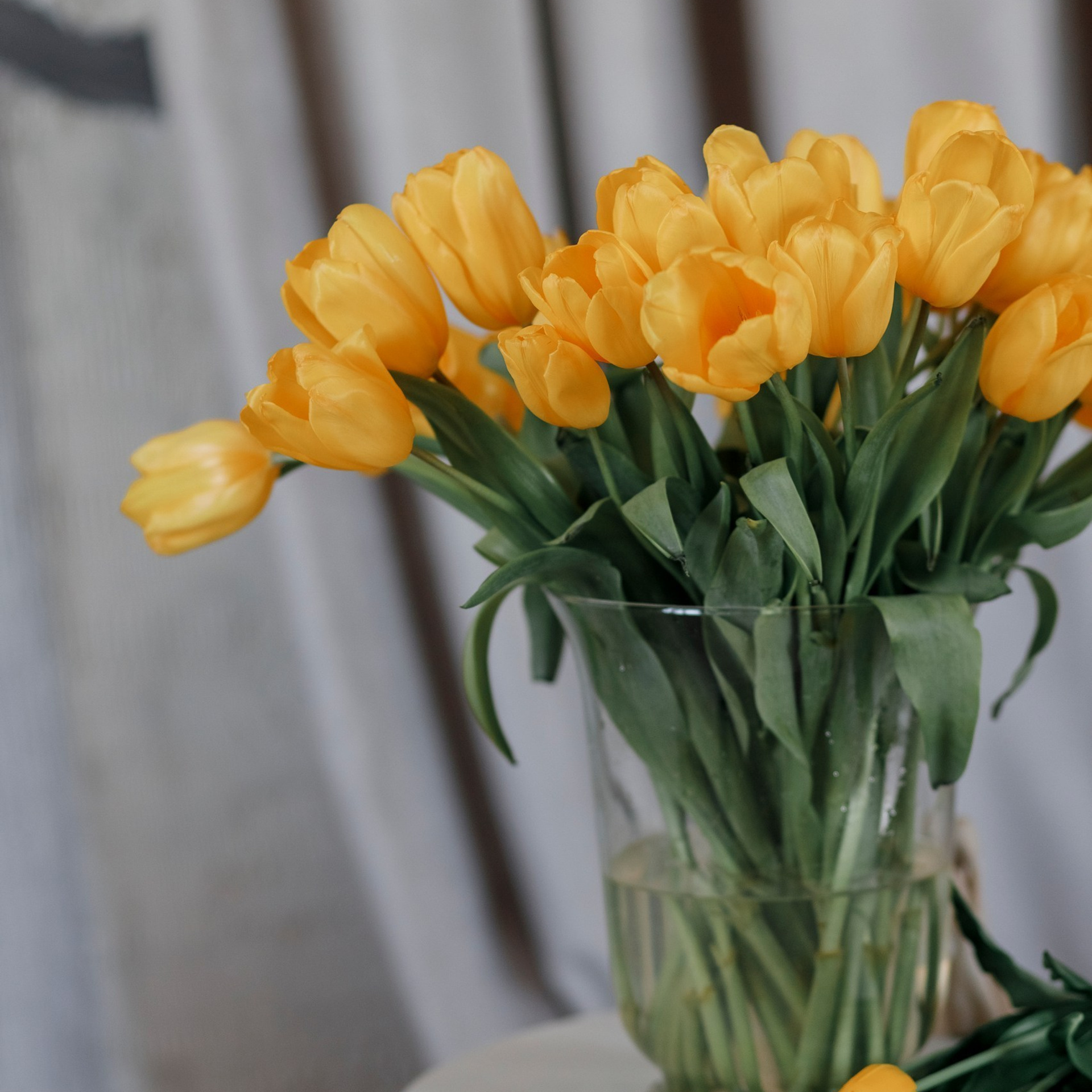 Отзывы. Валентина Удалая — семейный и портретный фотограф в Брянске