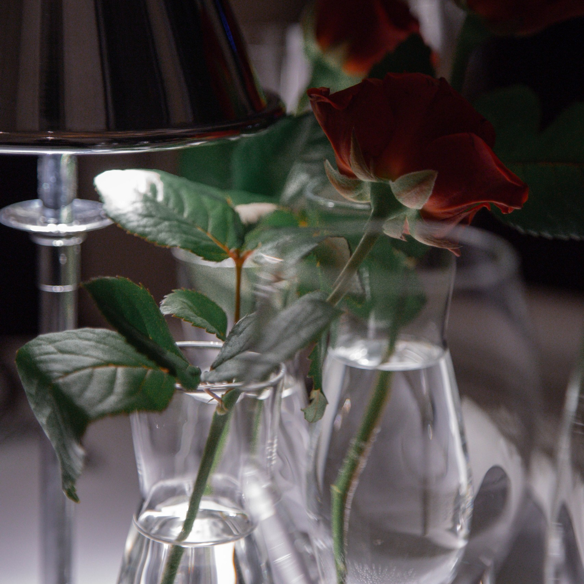 Отзывы. Полина Термянен — фотограф