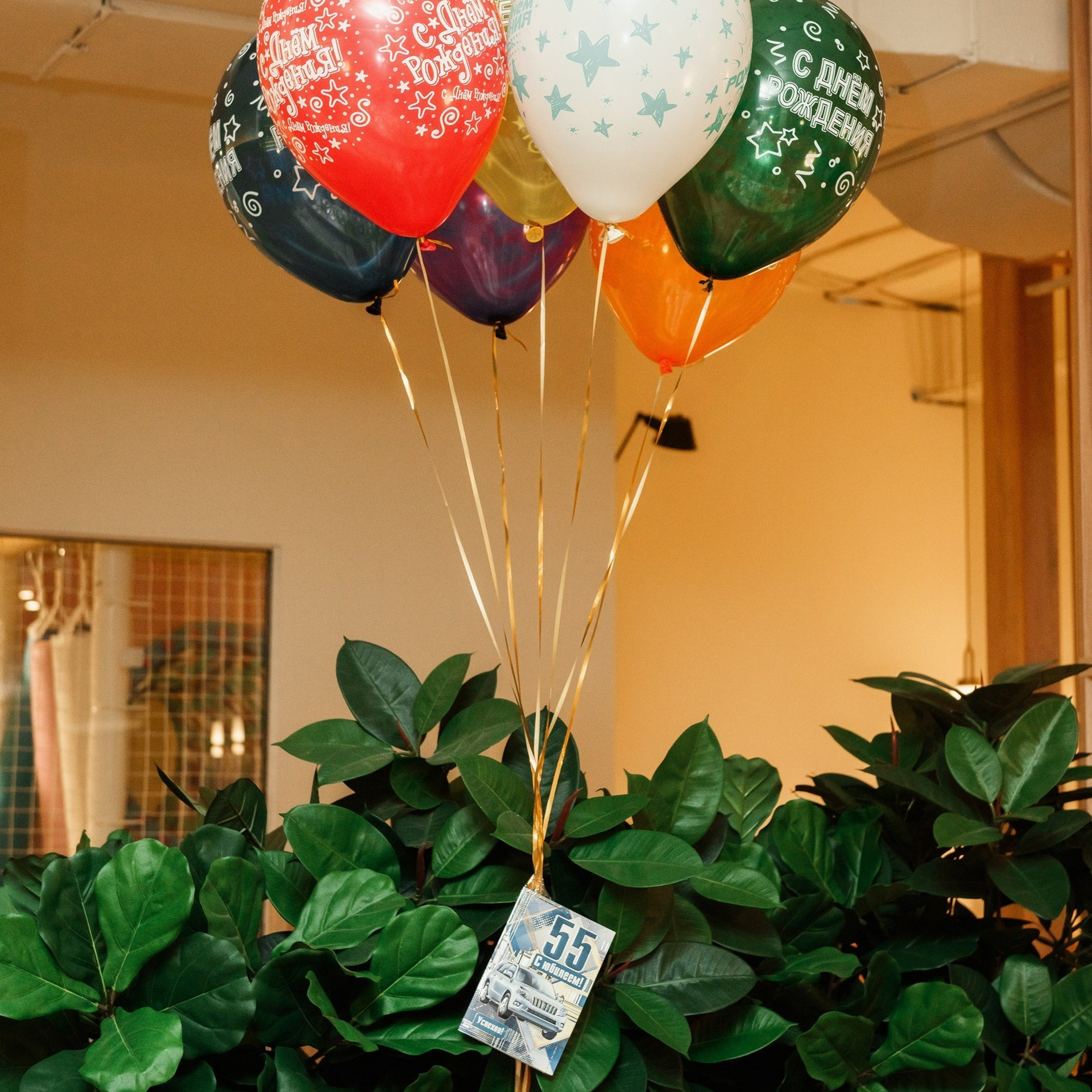 Отзывы. Фотограф Камчатка Тимофей Тимофеенко