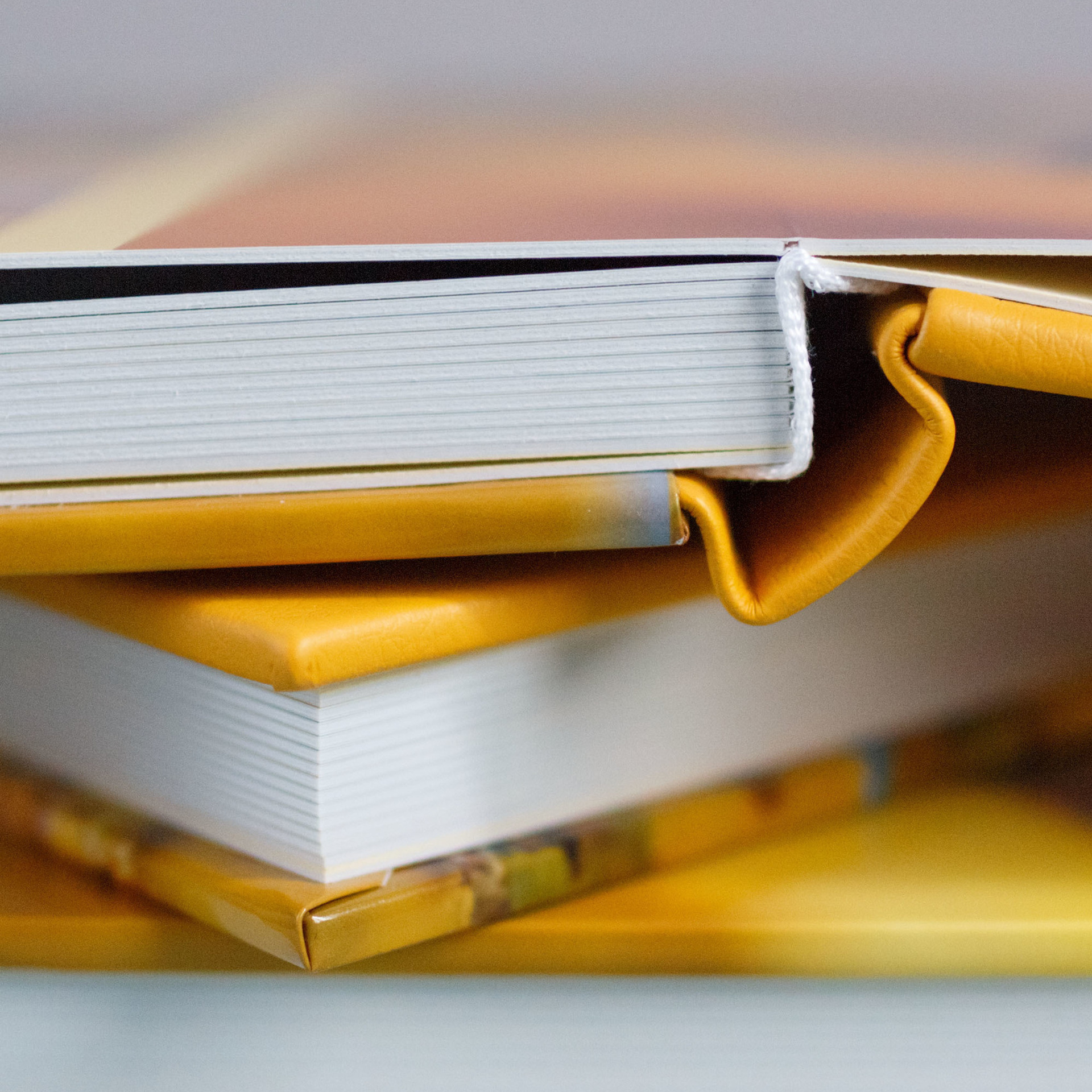 Семейная фотосессия в Серебряном Бору. Фотограф в Москве Татьяна Байкова