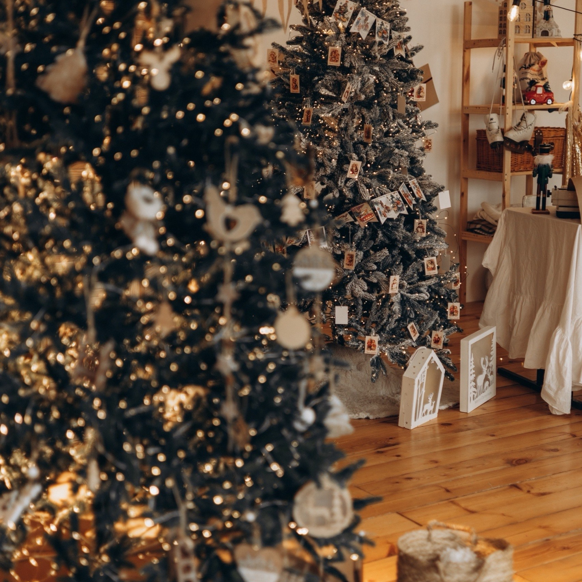 Новогодние локации 2026. Свадебный и семейный фотограф в Туле и области Маша Костина