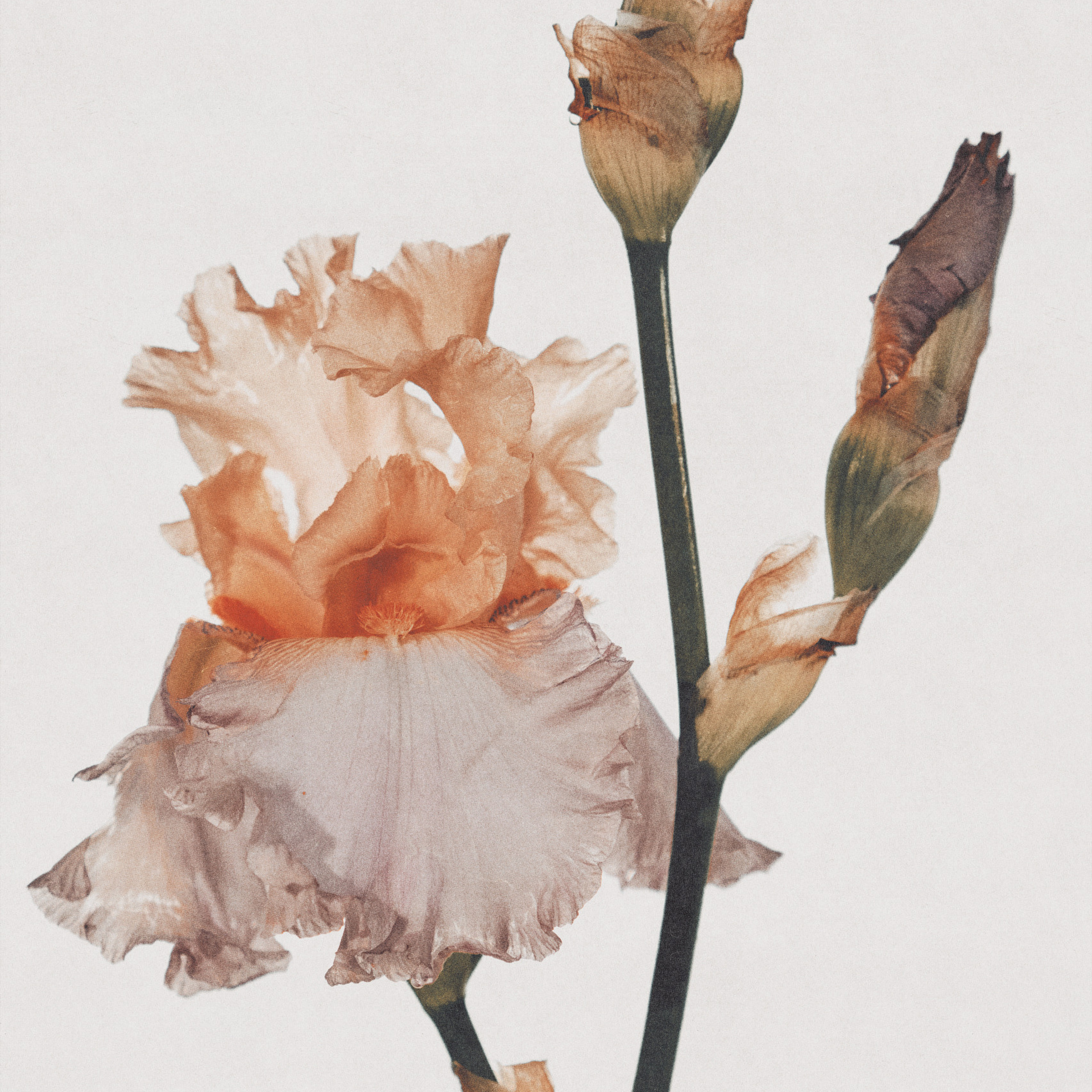 Отзывы. @39.62