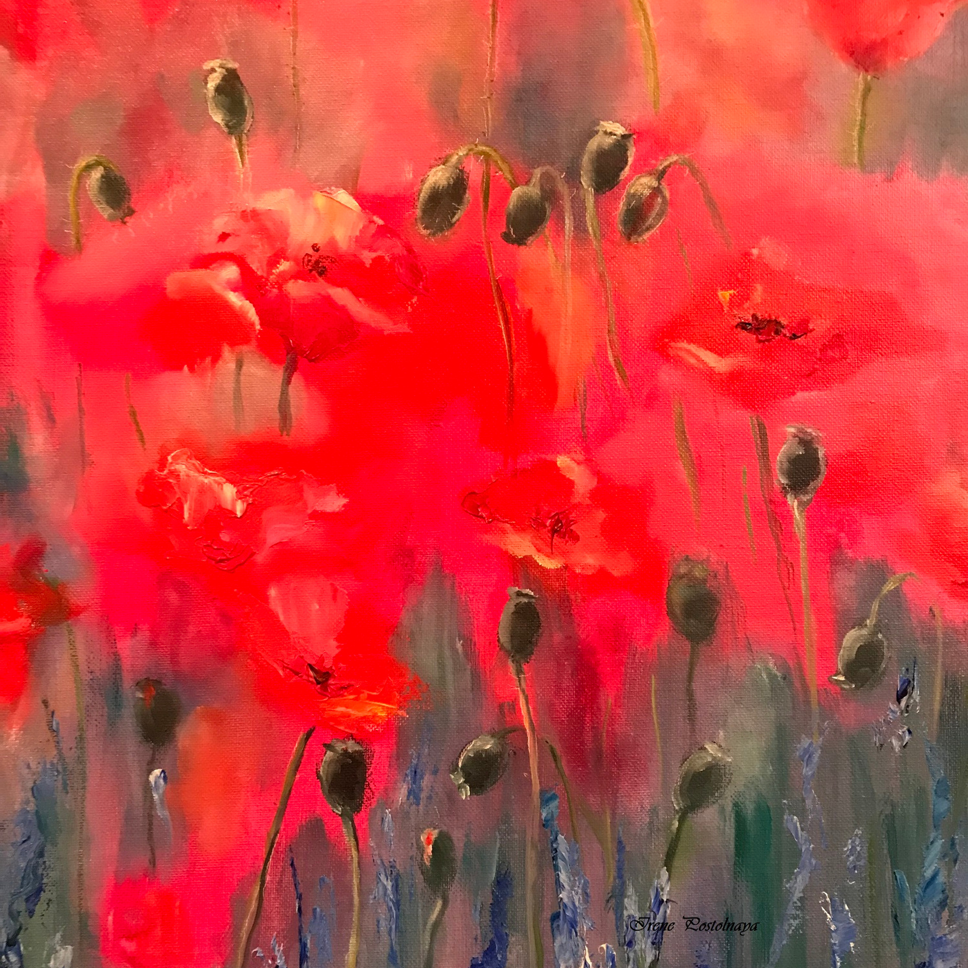 Poppy field. Painting by Irene Postolnaya, to buy oil painting