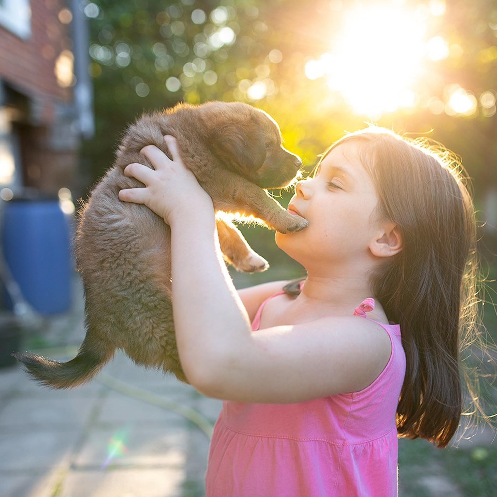 Фото и видеосъемка любых мероприятий в городе Краснодаре и Краснодарском крае. Щеколдин Антон
