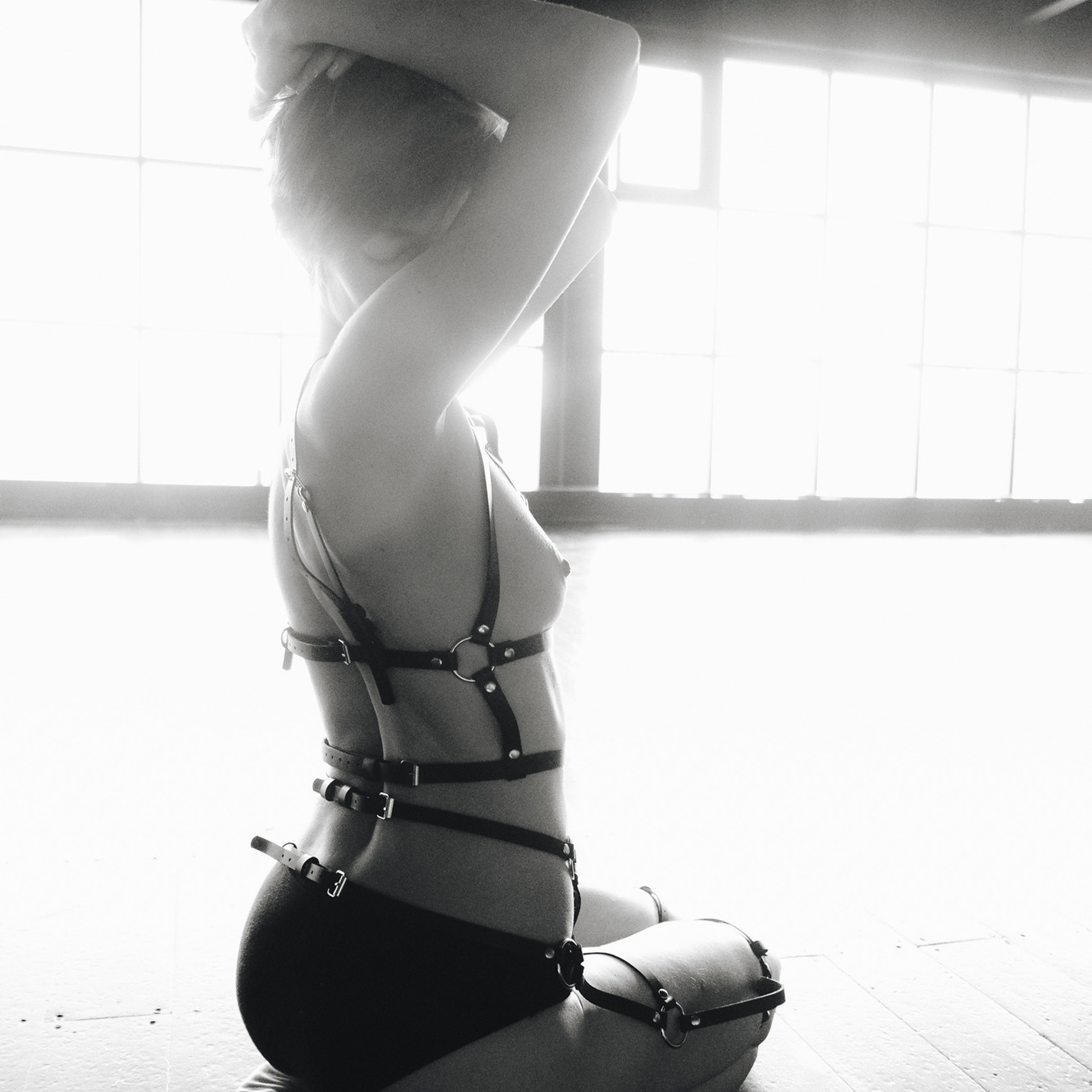 Идеальная леди