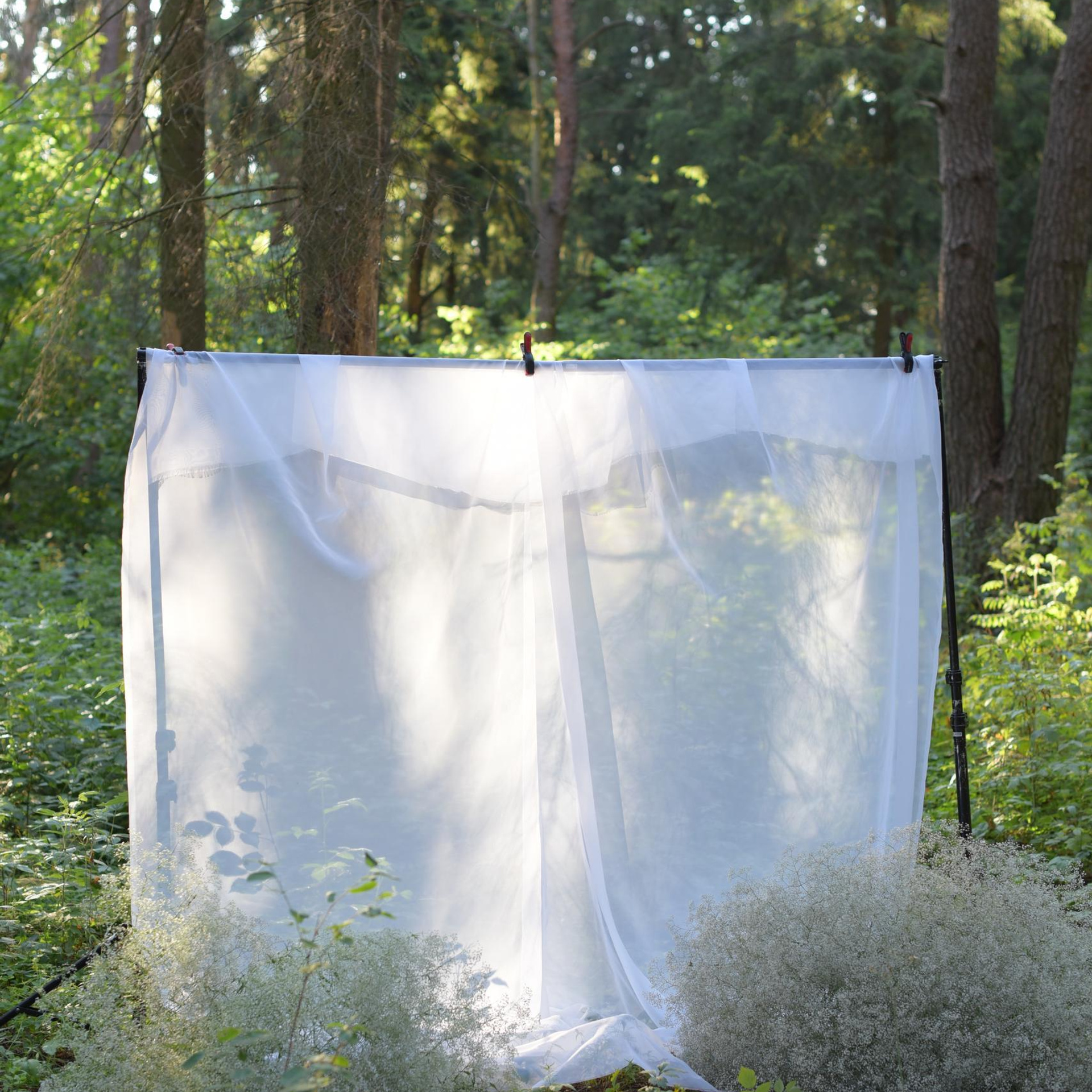 Отзывы. Фотограф Екатерина Новицкая РБ