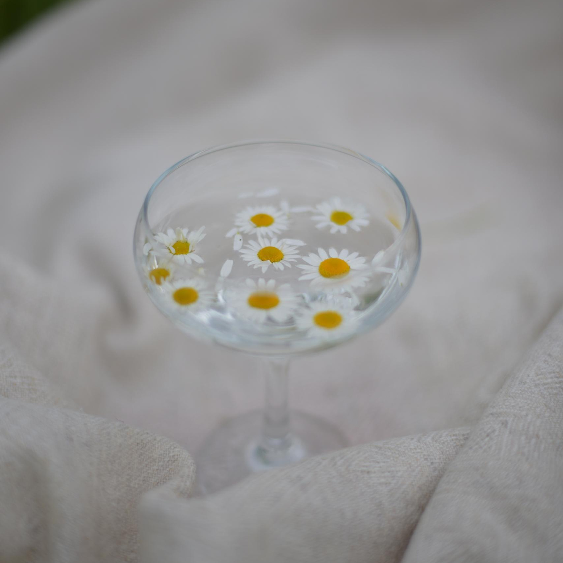 Отзывы. Фотограф Екатерина Новицкая РБ