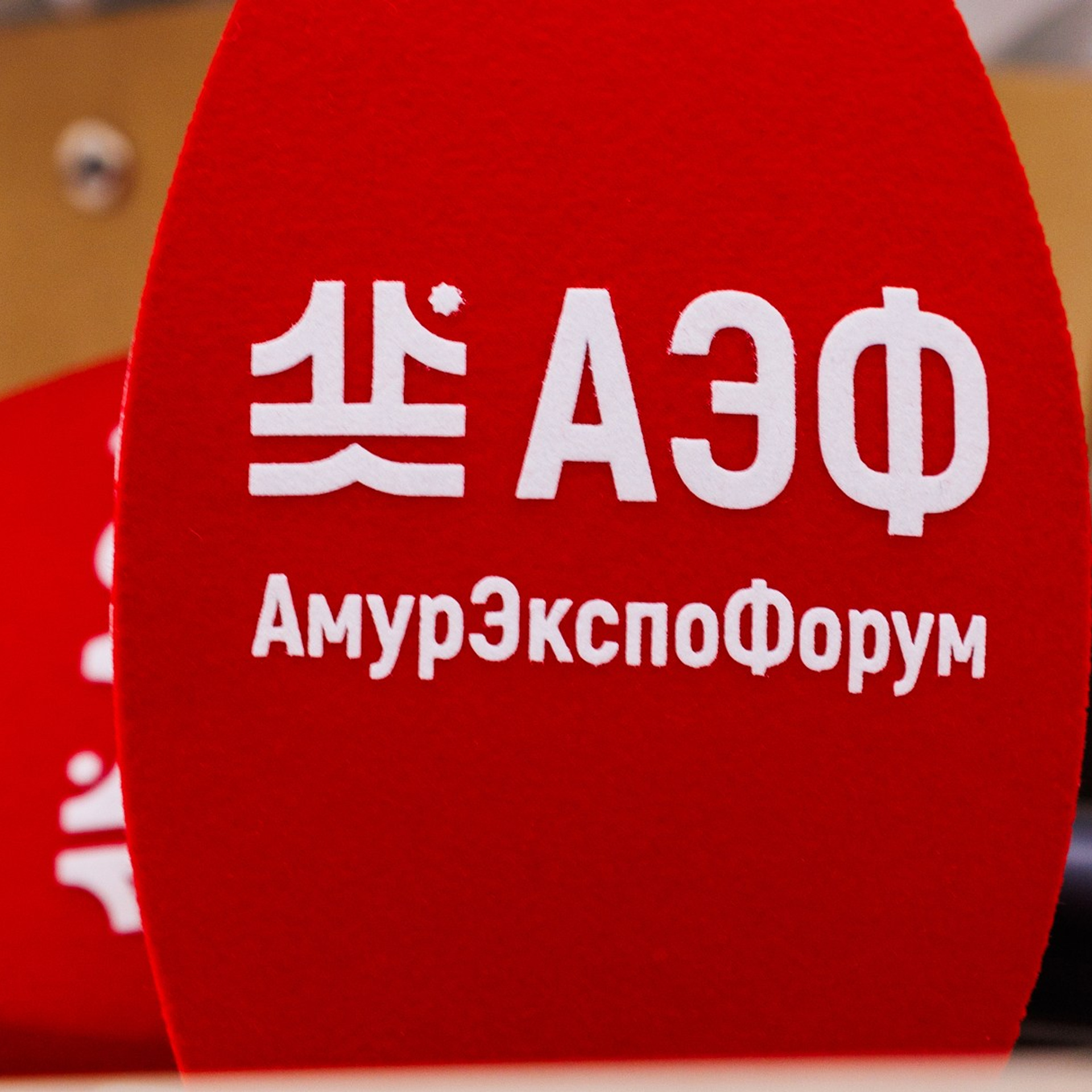 Российско-китайский экономический форум «АмурЭкспо» АЭФ