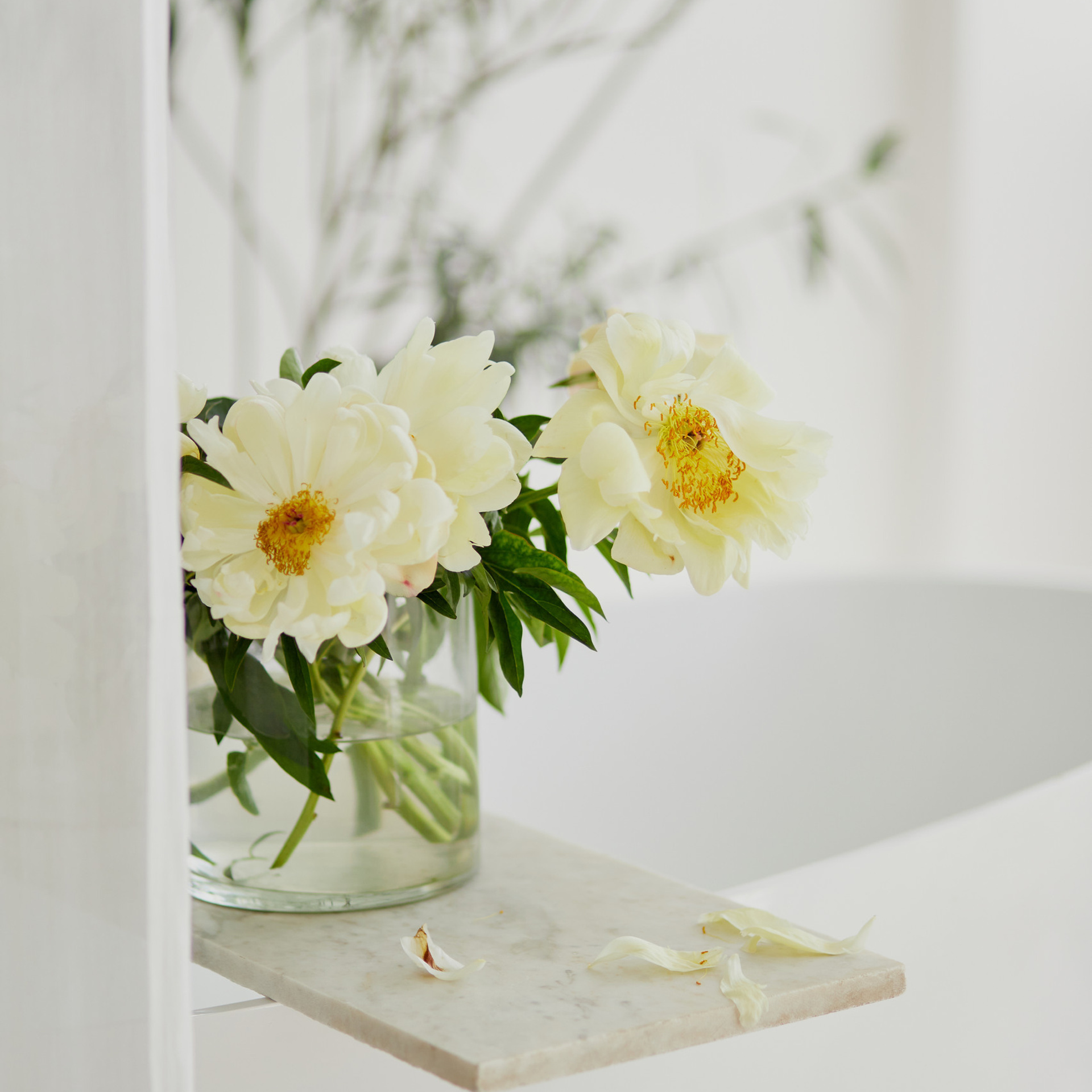 Отзывы о работе профессионального фотографа Ростов. Фотосессии в Ростове-на-Дону. Мария Роскошная