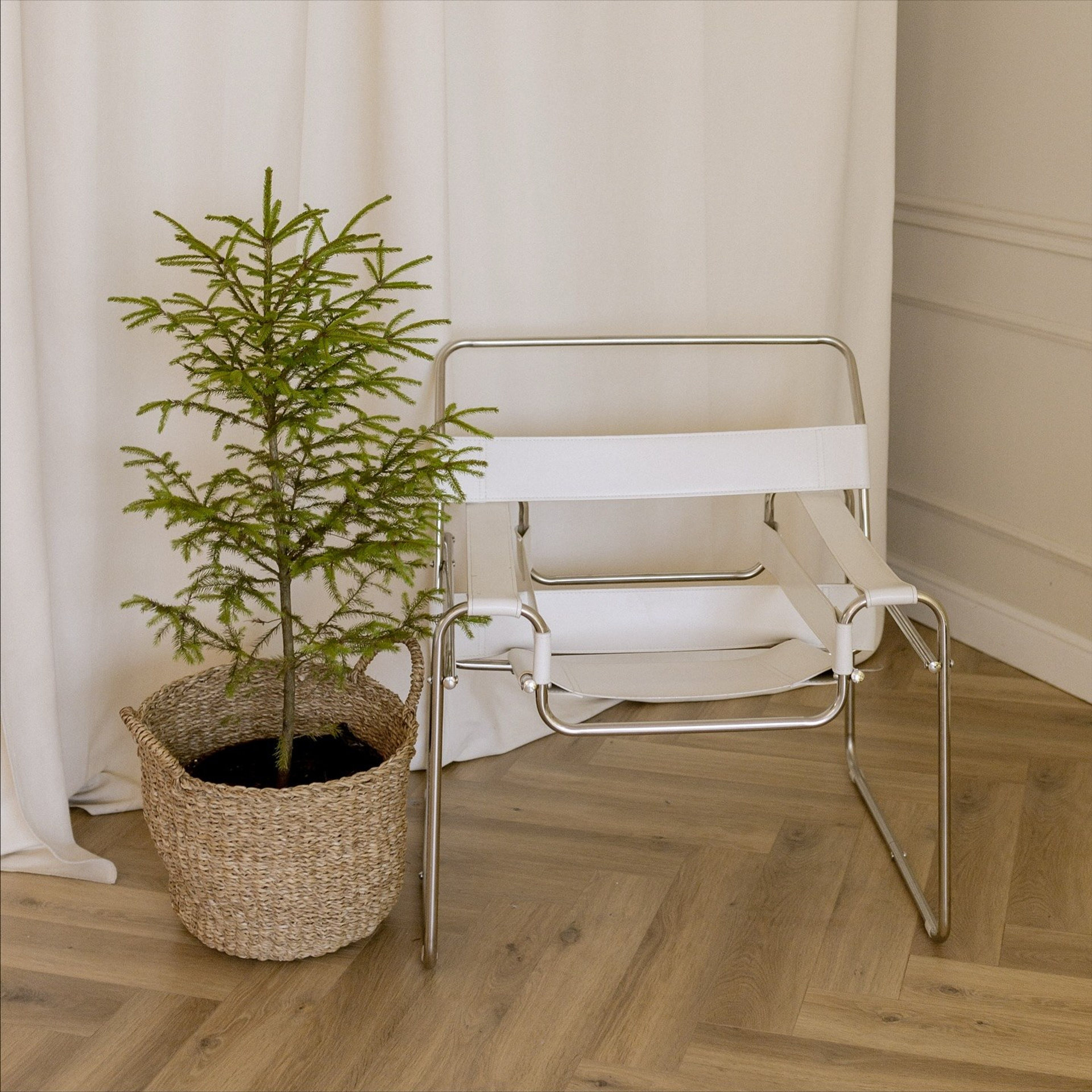 Рекомендации по подготовке к фотосессии беременности. Алёна Берёзка фотограф Минск