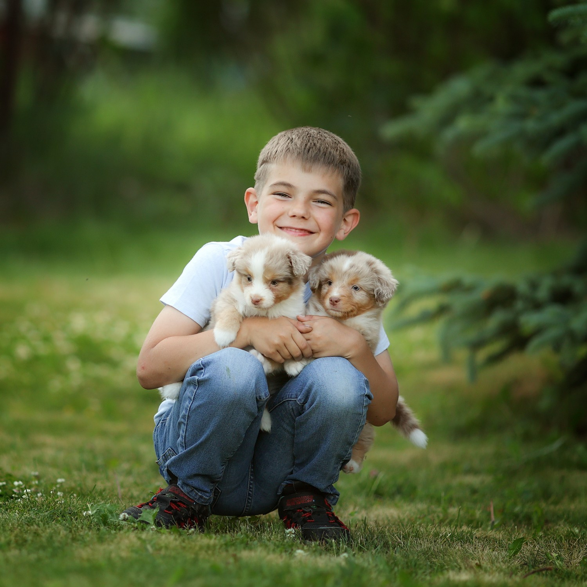 Люди и собаки