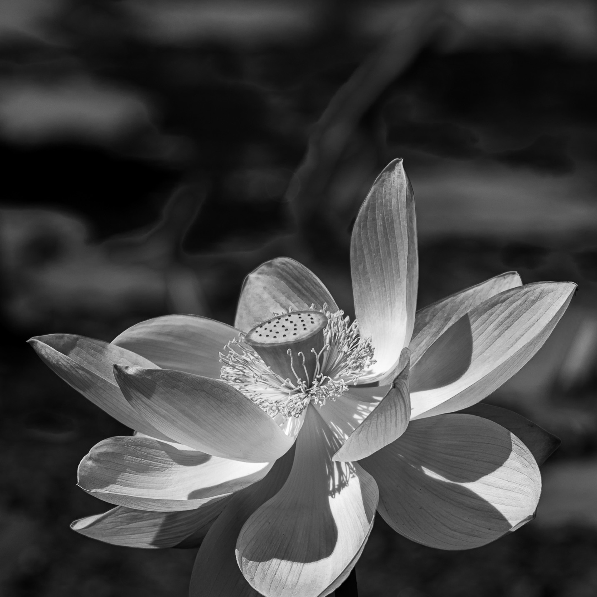 Отзывы. Любимый фотограф