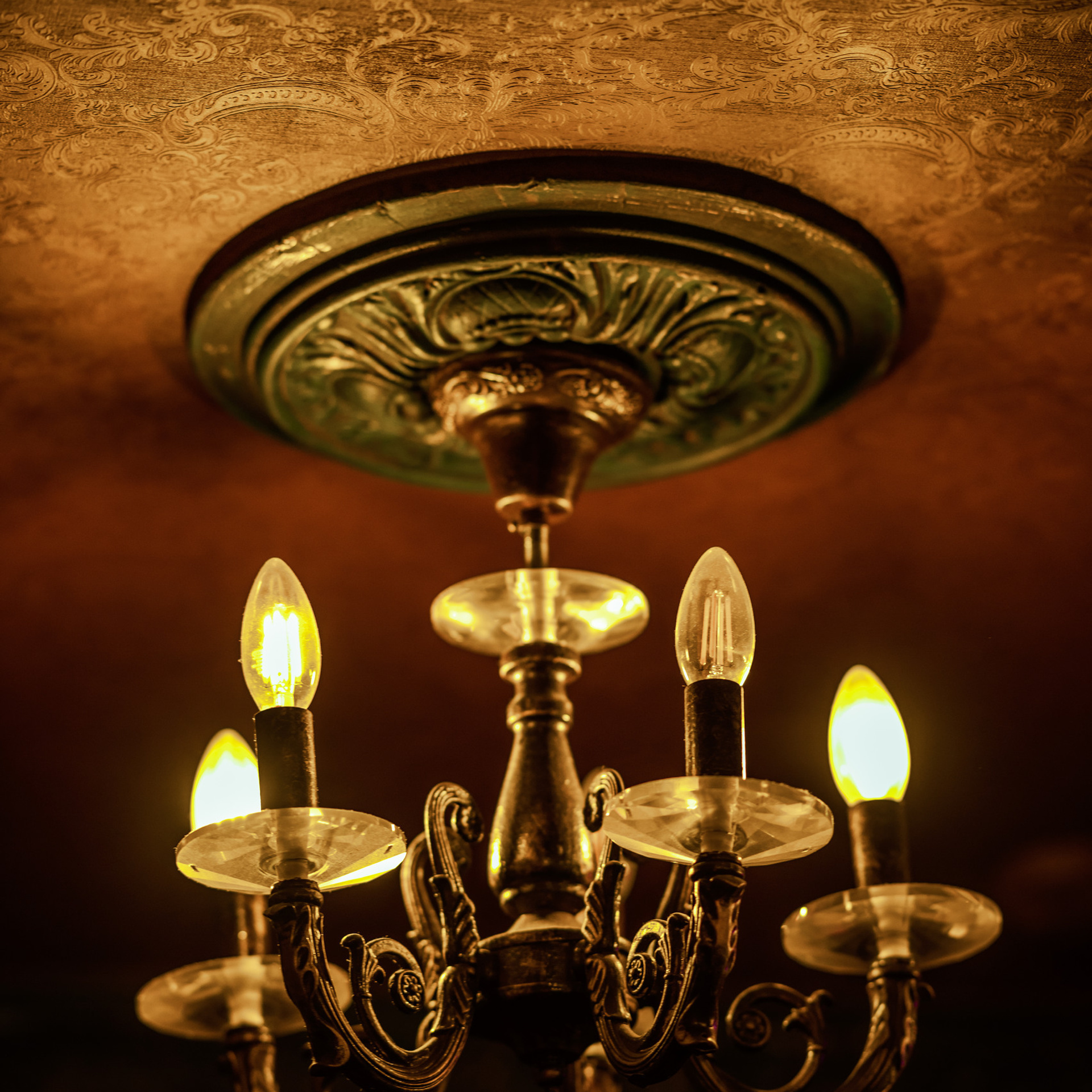 Отзывы. Любимый фотограф