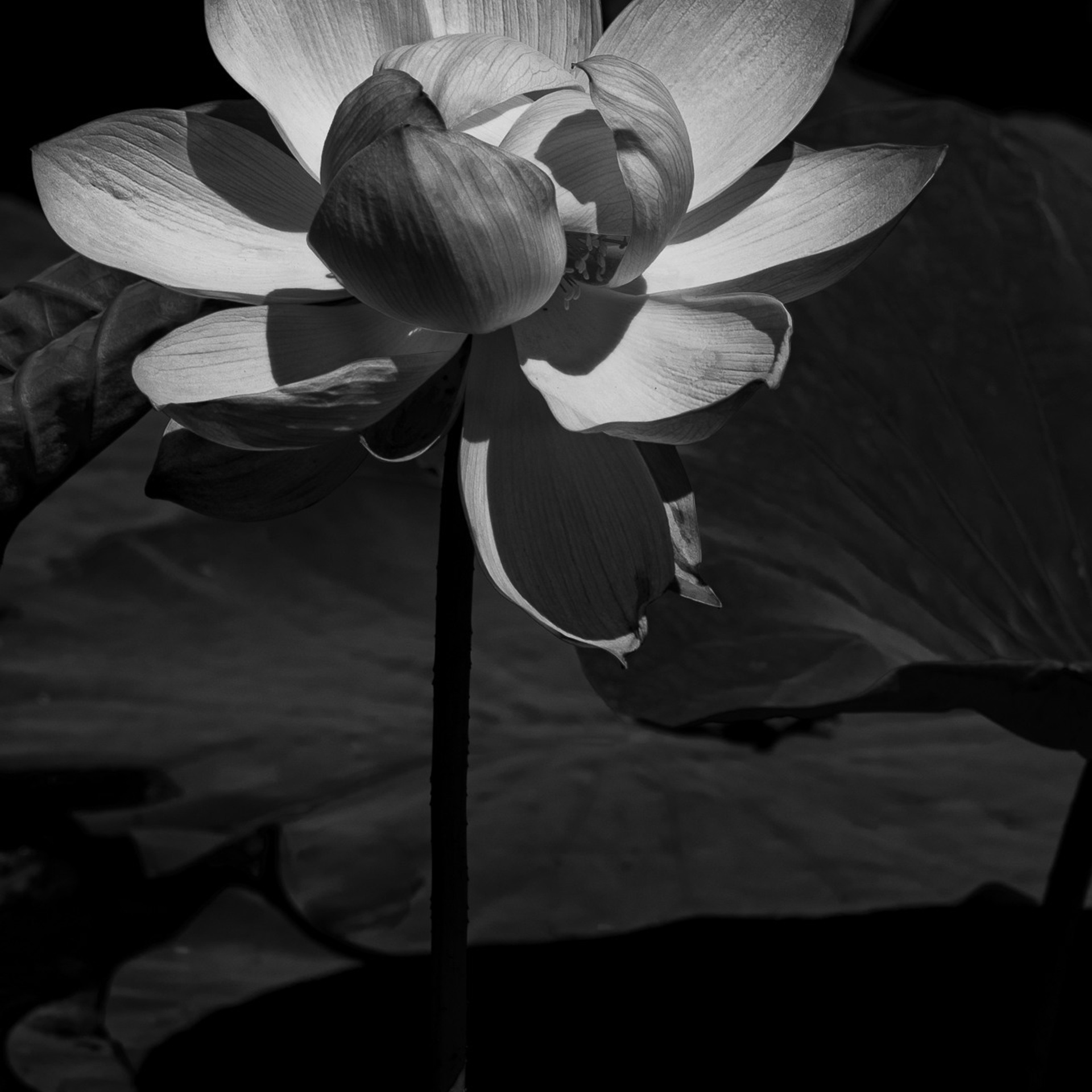 Отзывы. Любимый фотограф