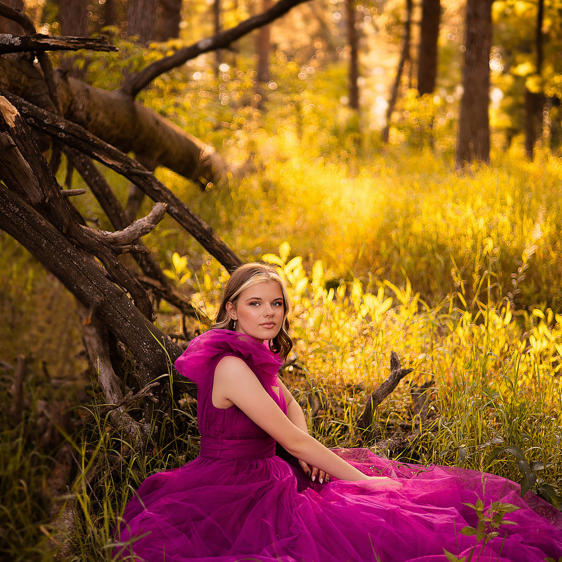 Волшебный лес