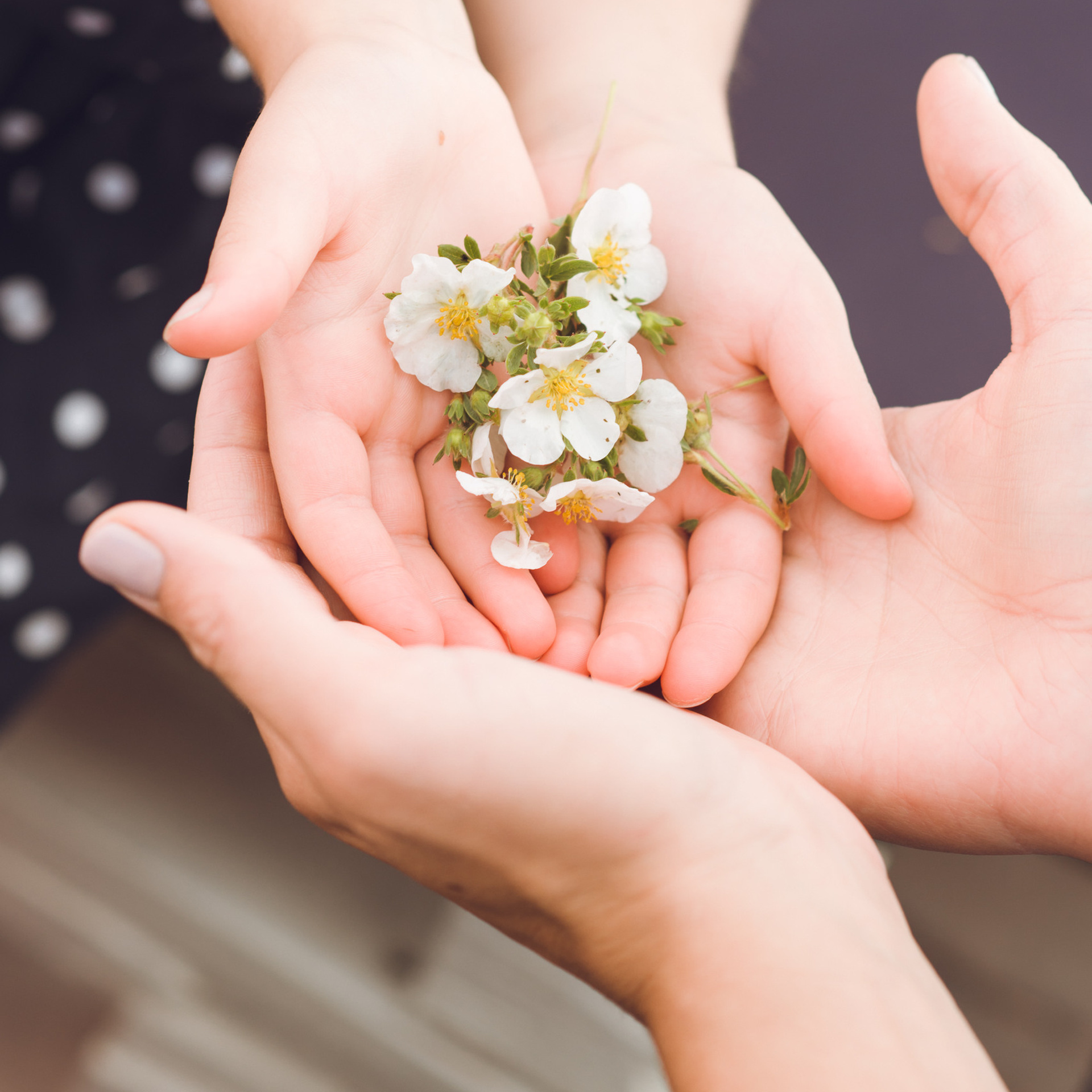 Полина. Ниша: Психология