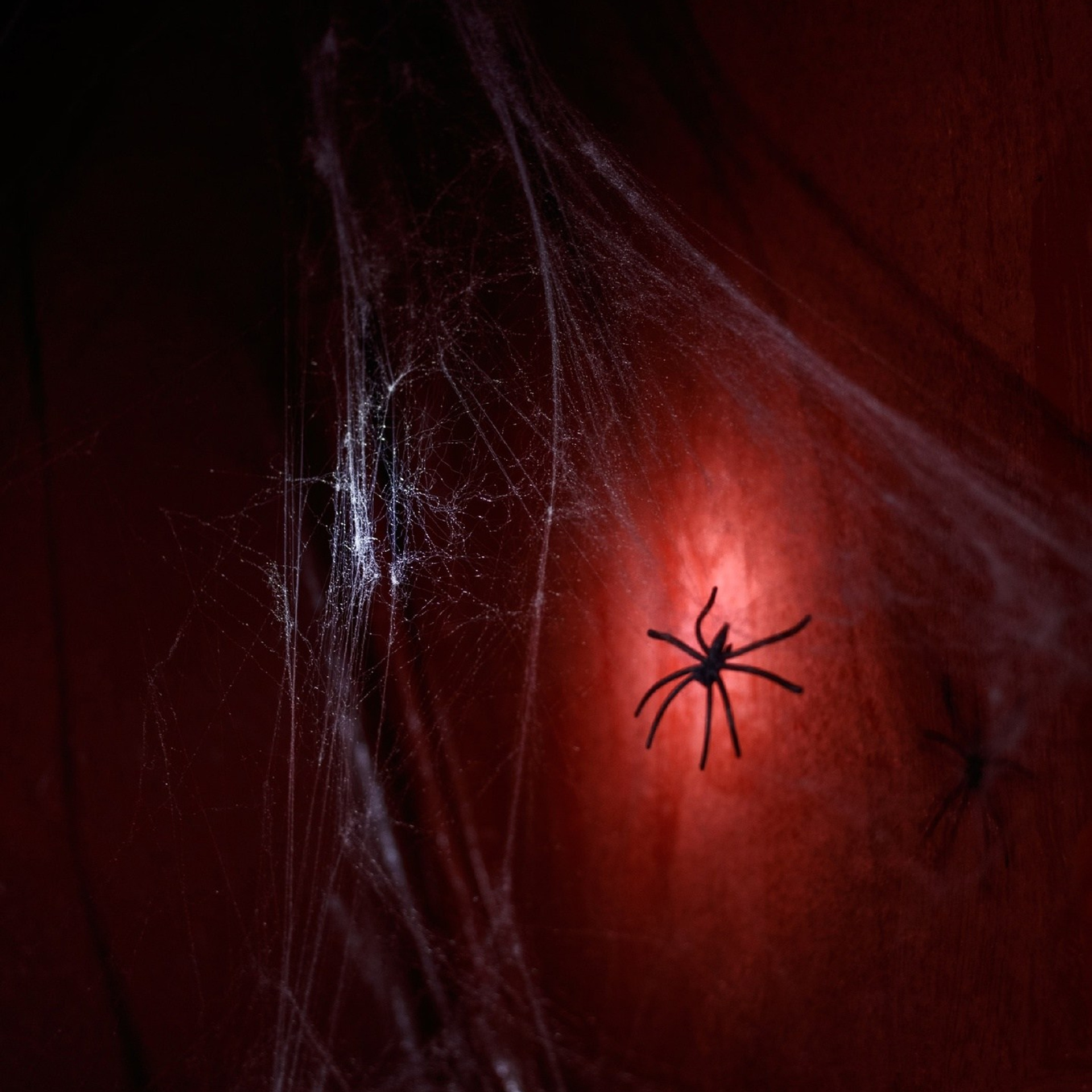 Контент съёмка. Фотограф (графический дизайнер) Полонская Юлия