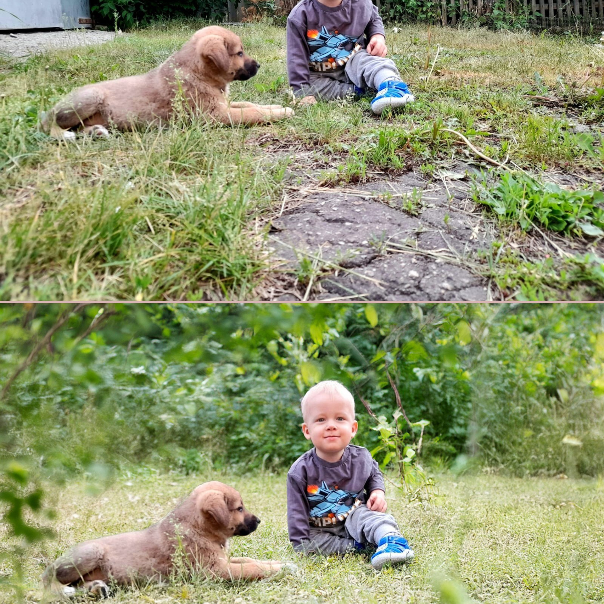 Замена фона. Фотограф (графический дизайнер) Полонская Юлия