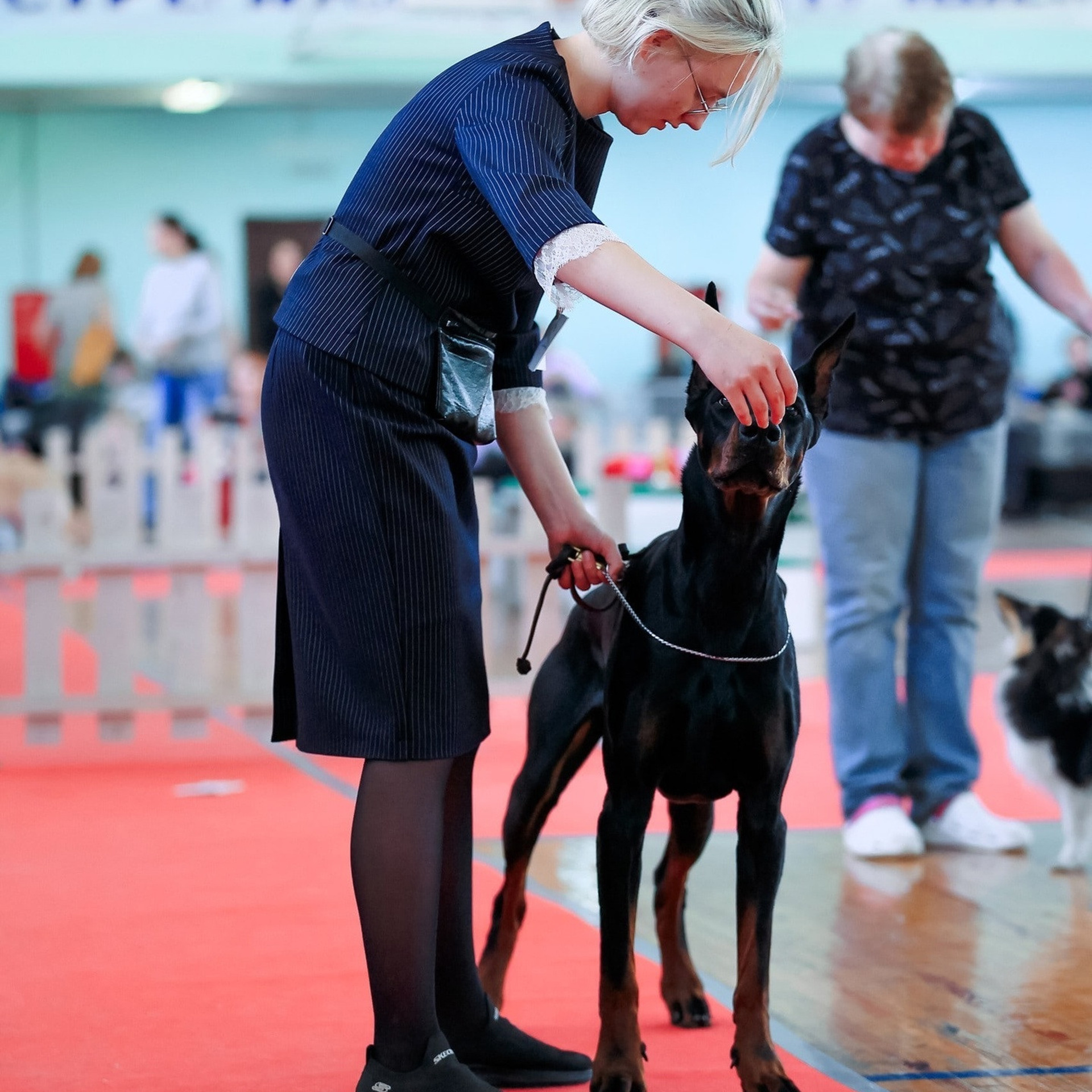 Татьяна Кауфман - отзывы о фотосессия. Фотограф Анималист из Новосибирска Татьяна Кауфман