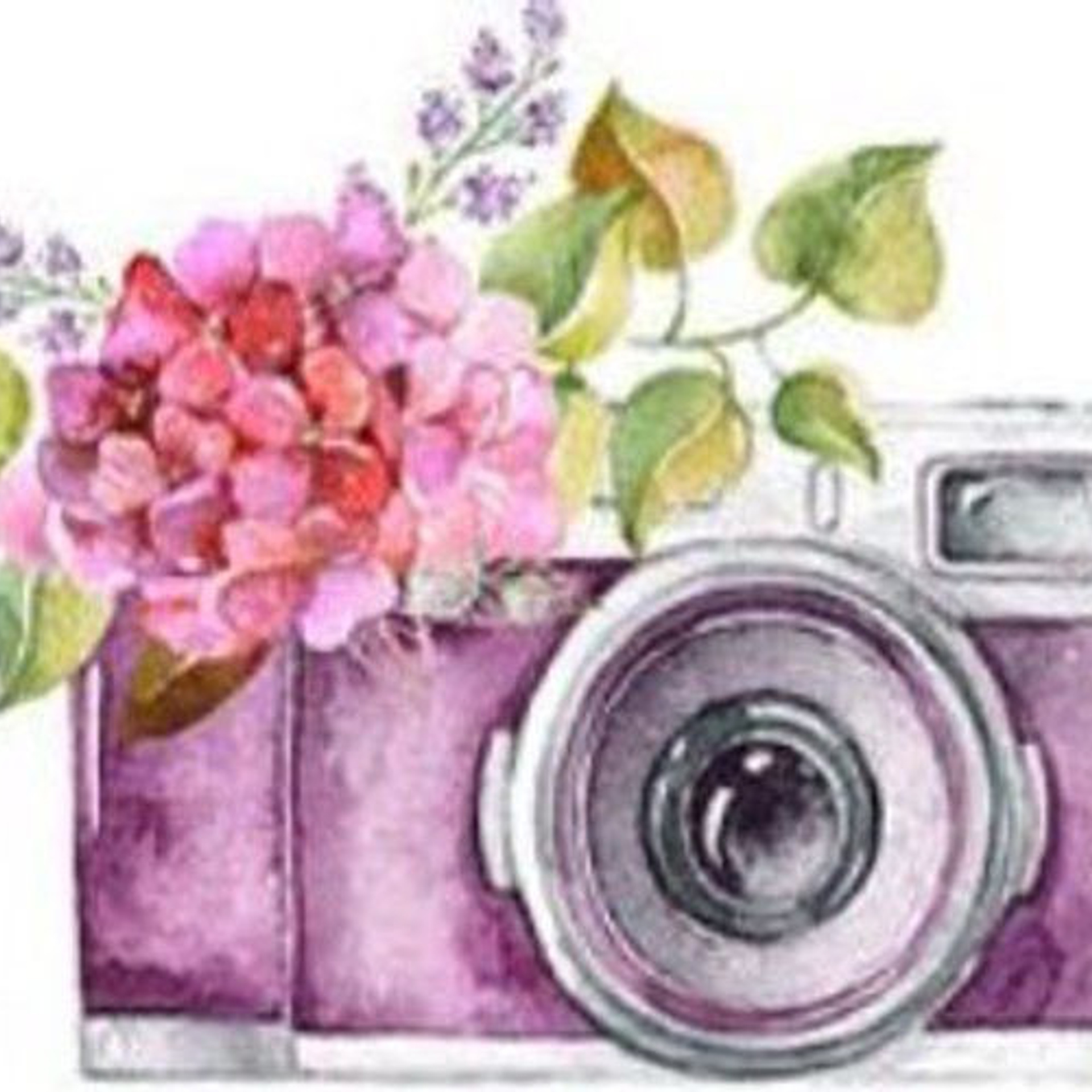 Отзывы. Фотограф Дмитров. Москва