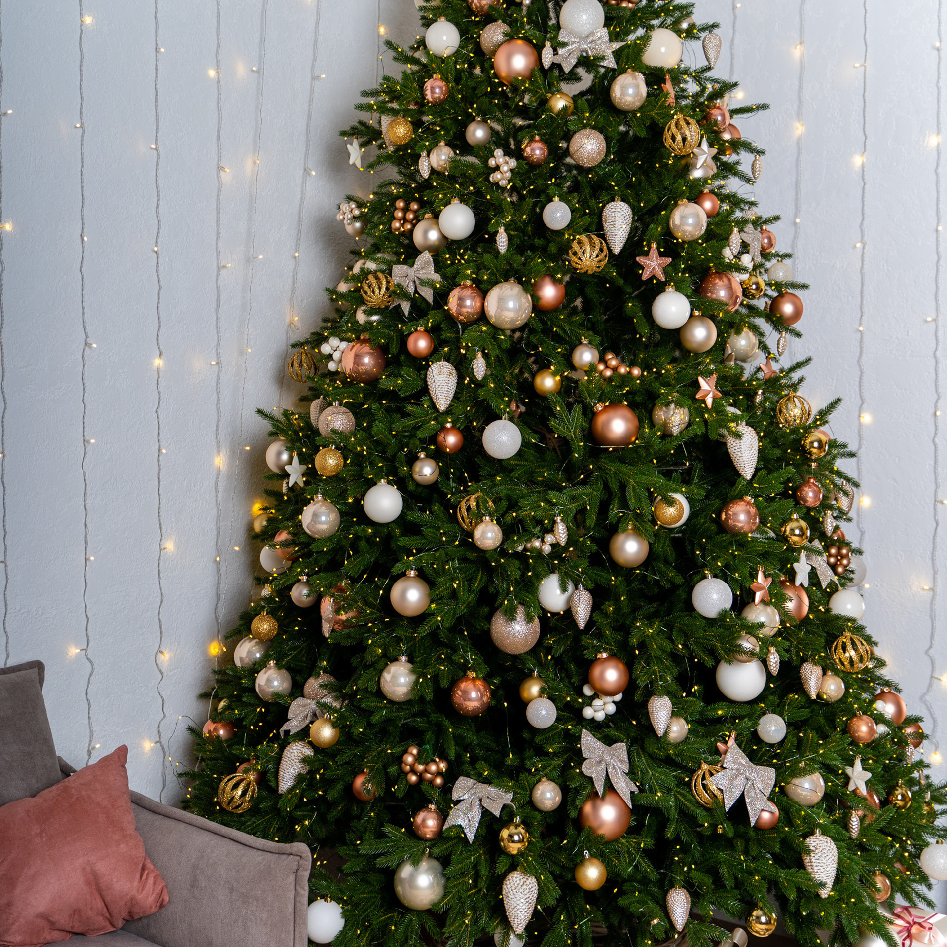 Отзывы. Фотограф Дмитров. Москва