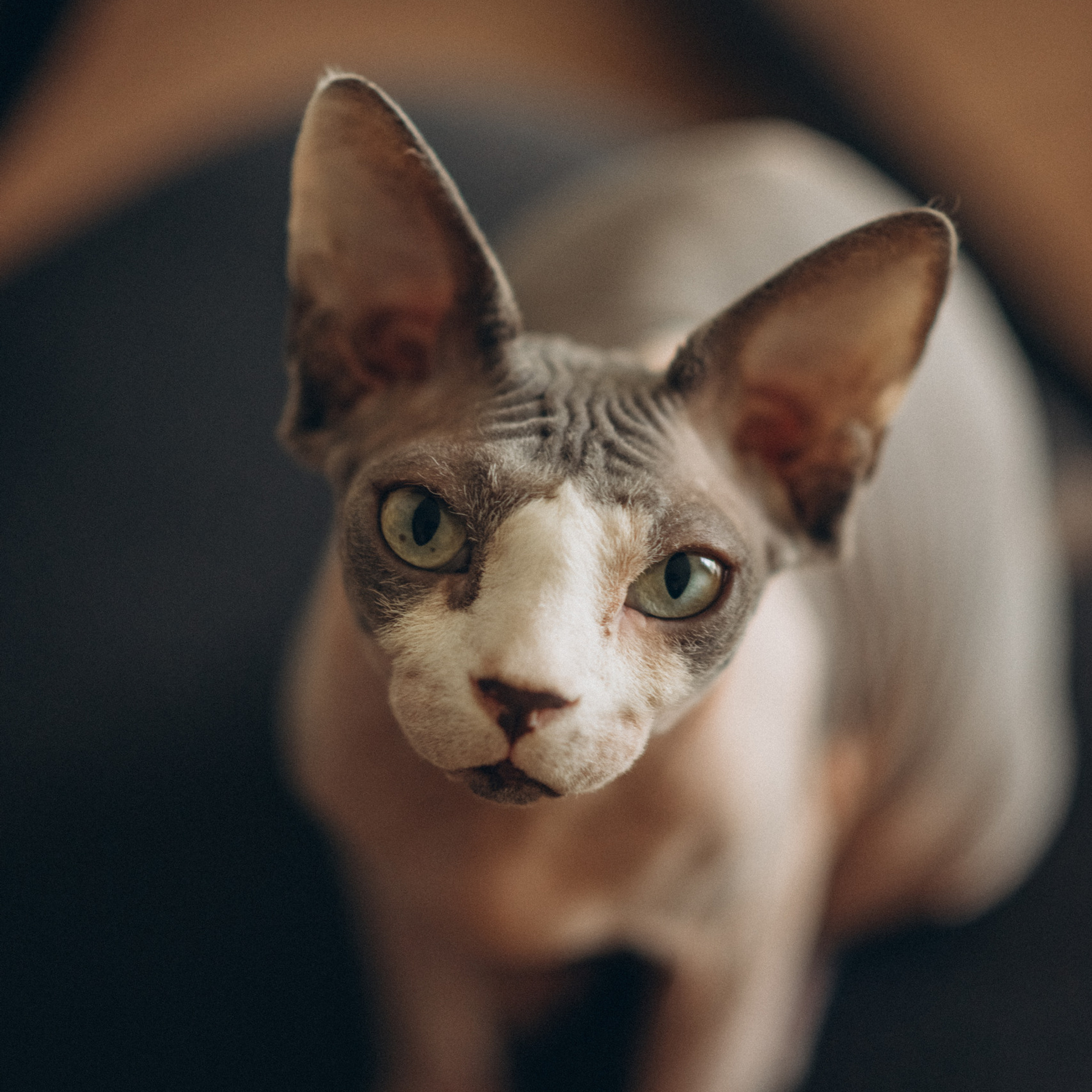 Отзывы. Семейный и женский фотограф в Москве Кубасова Маша