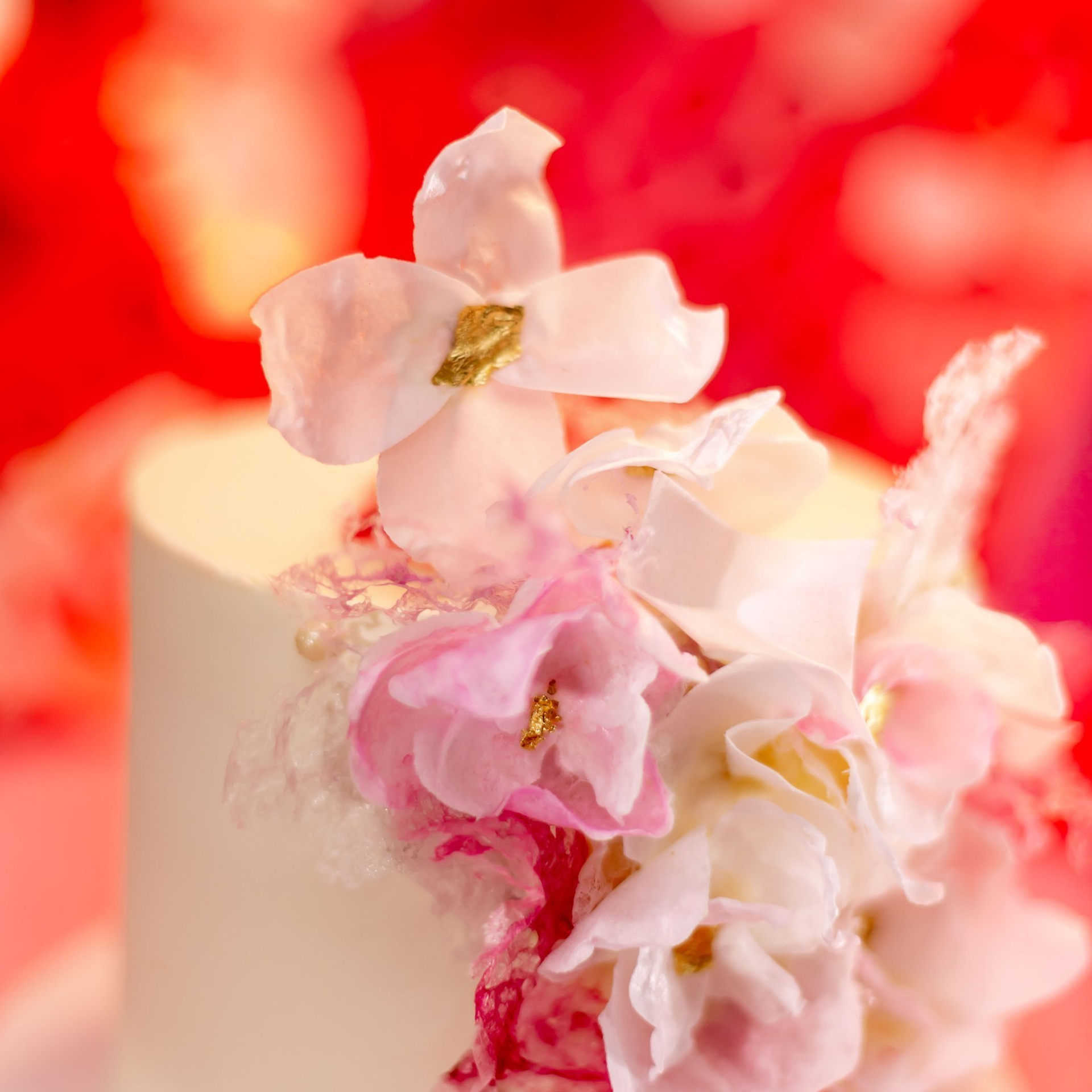 Отзывы. Семейный и детский фотограф Мария Барсукова