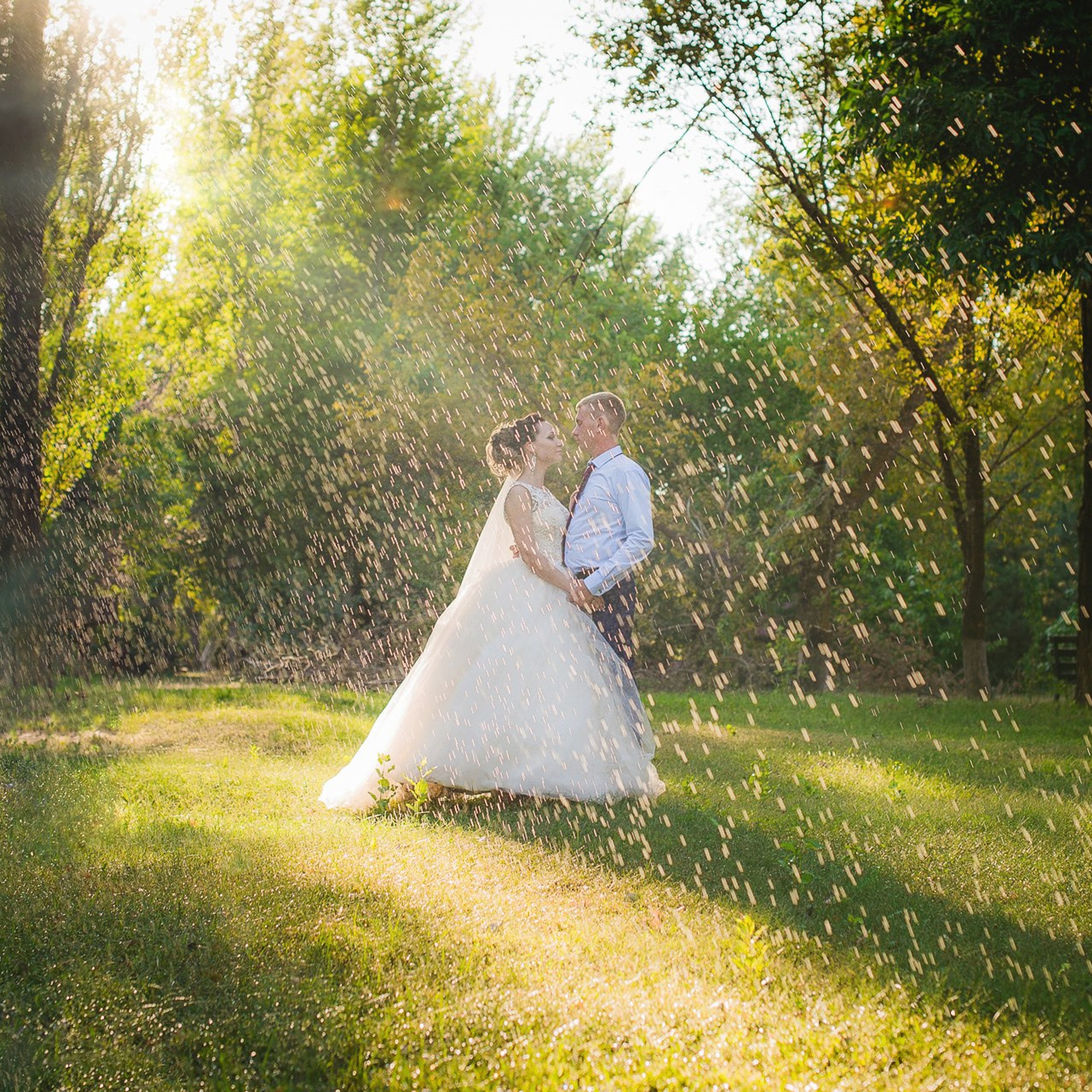 Отзывы. Фотограф Сергей Воля