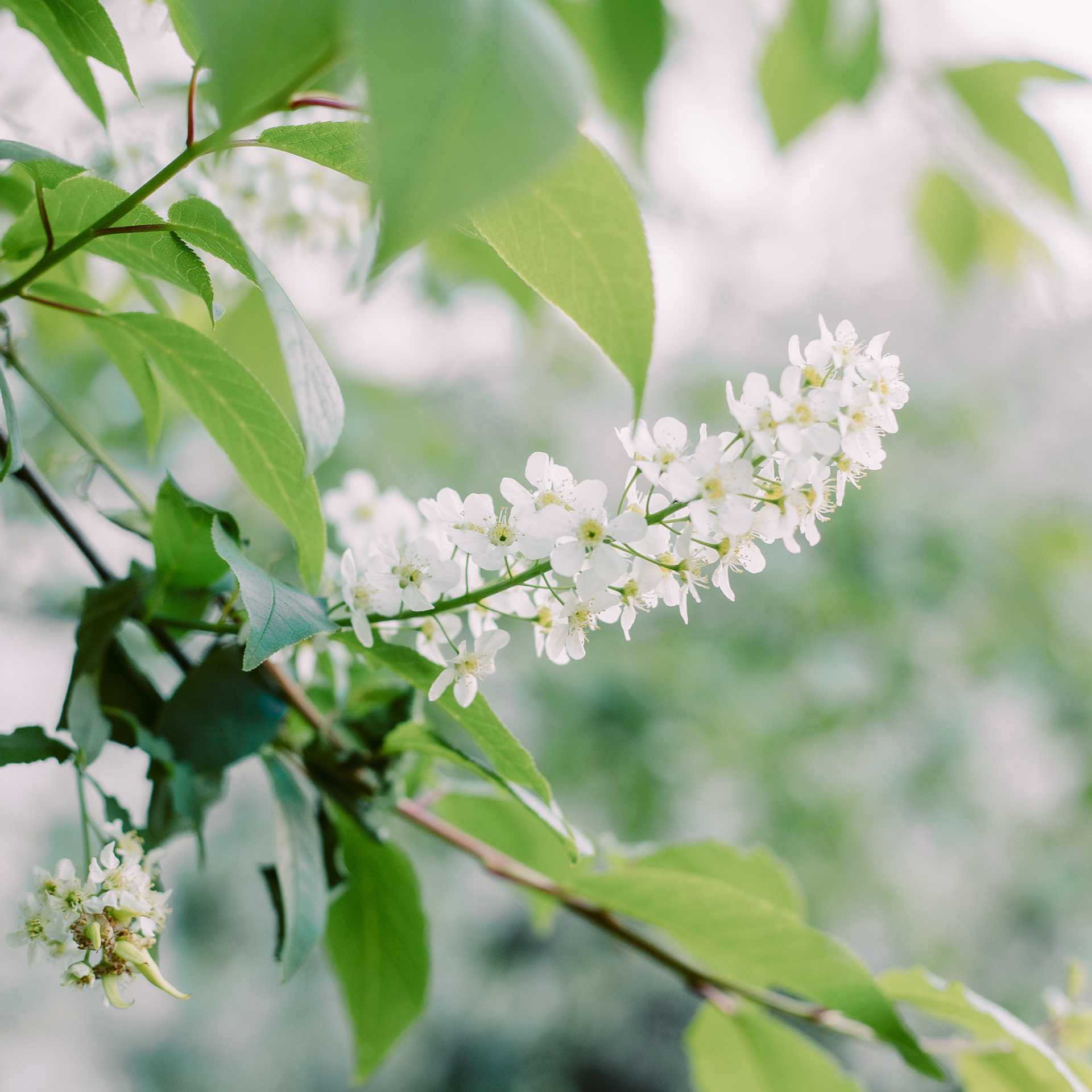 Отзывы Фотограф в Санкт-Петербурге Анна Скворцова. Фотограф в Санкт-Петербурге, Анна Скворцова