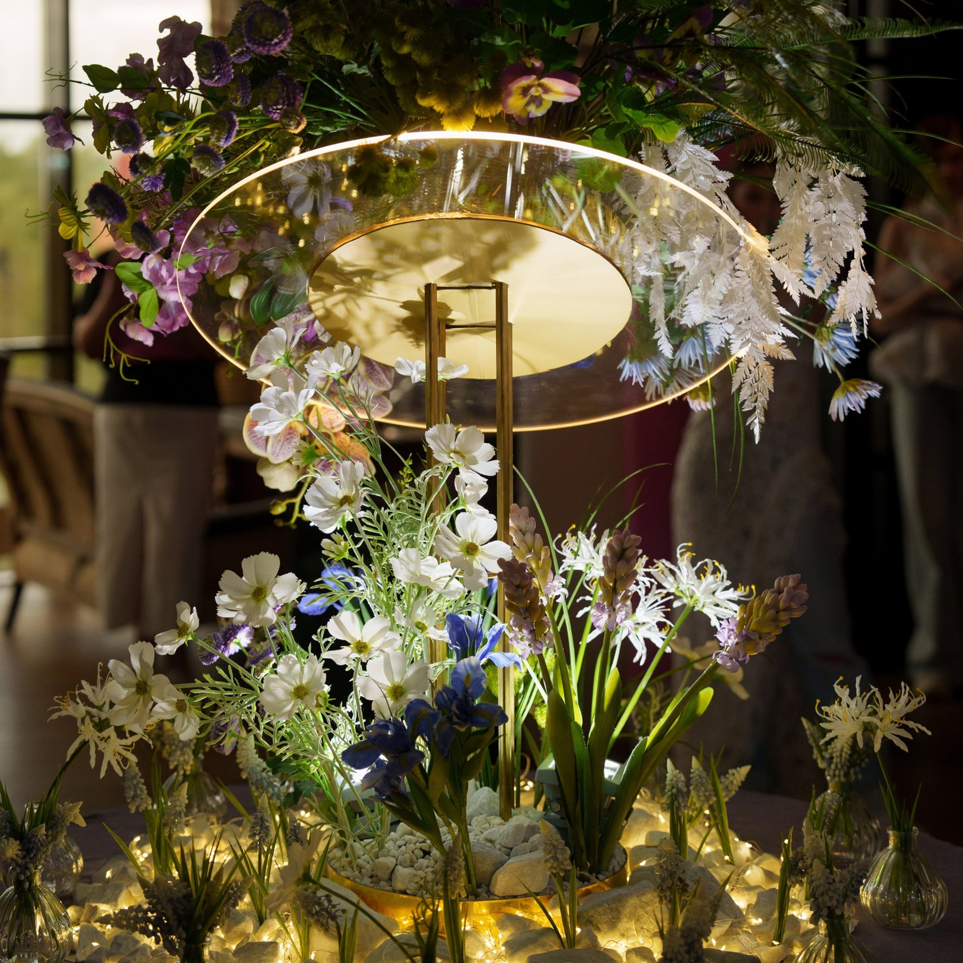 Инжир фотозона