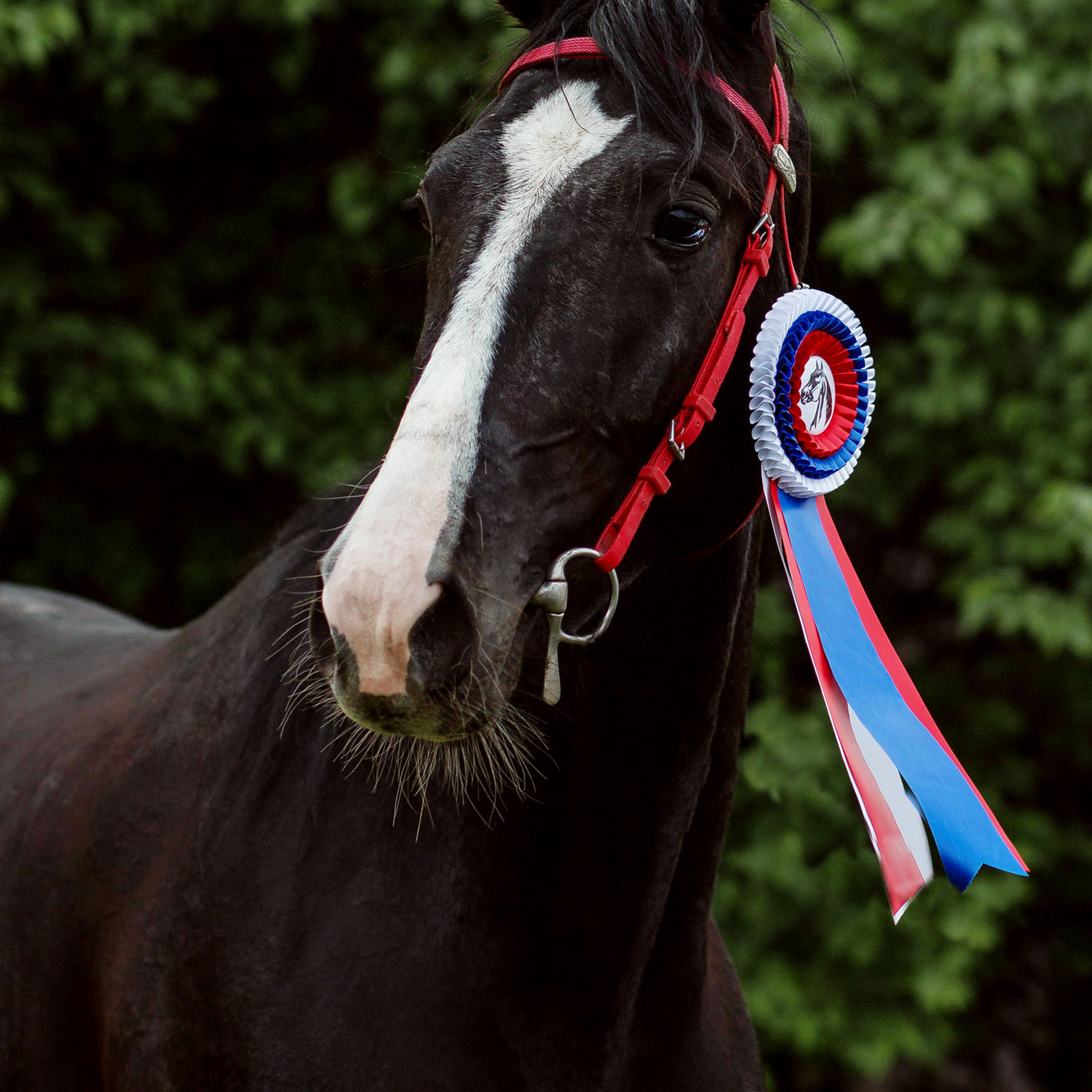 оревнования 2023